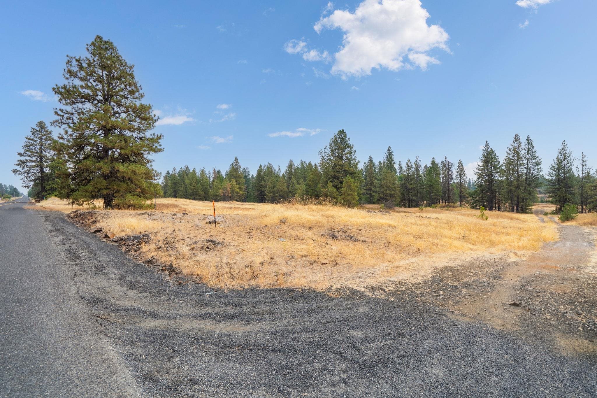 17700Blk W Williams Lake Rd - Photo 9