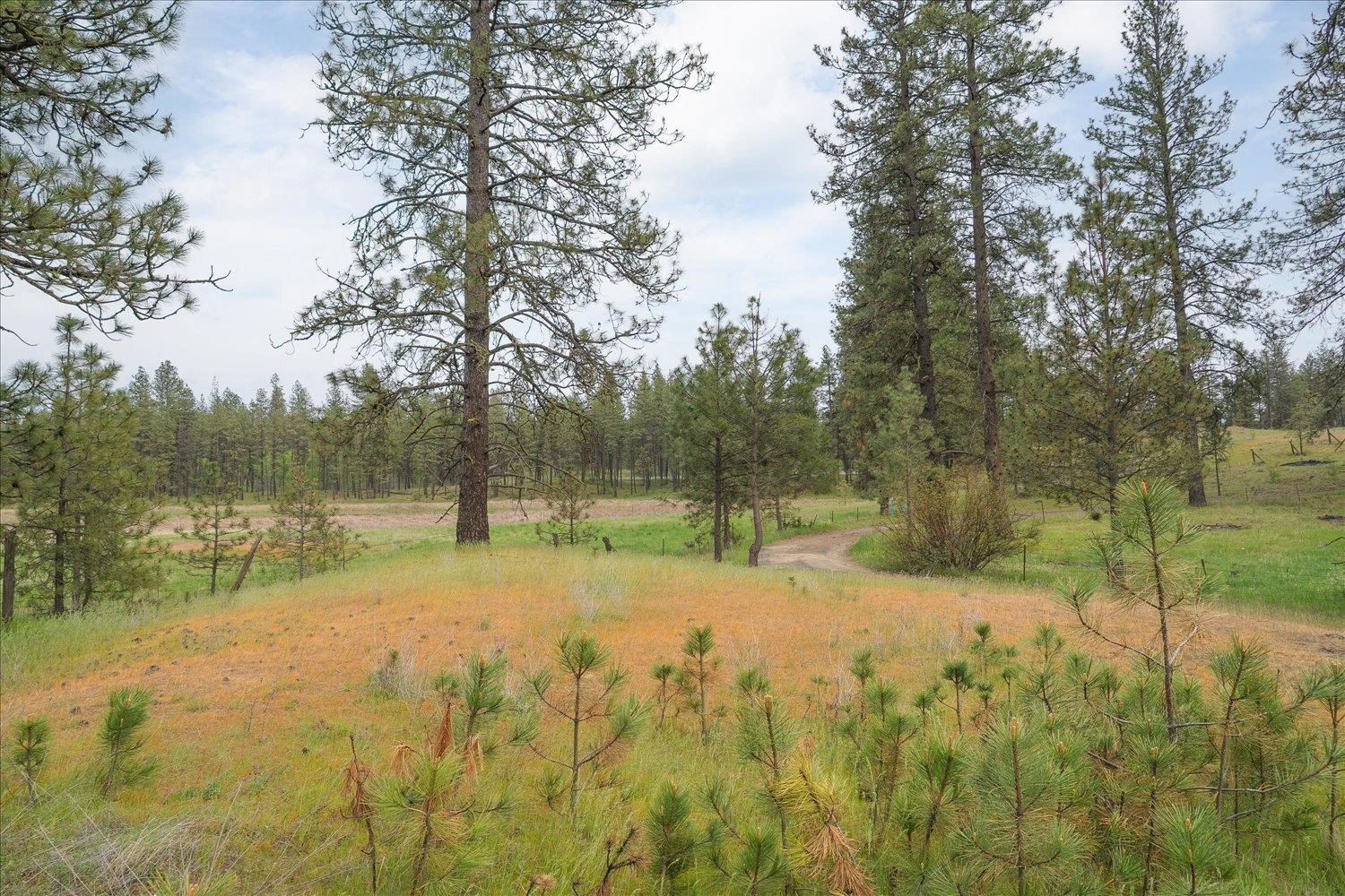 6108 W Depot Springs Rd - Photo 41
