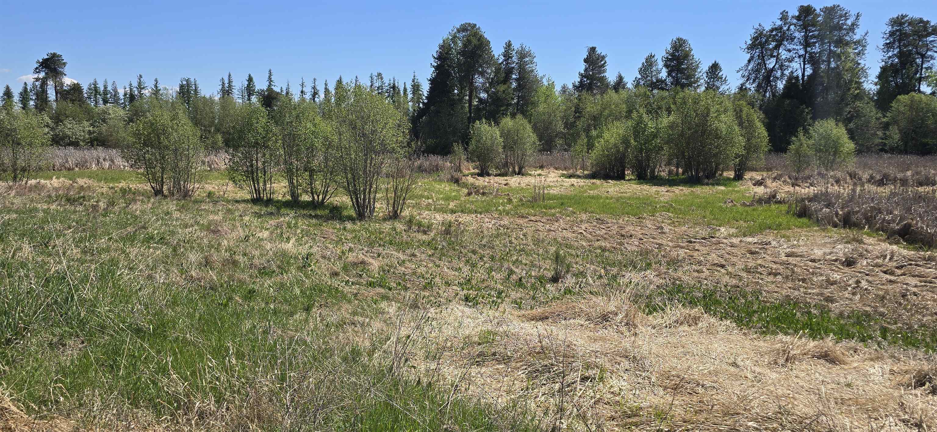 44XX N Swenson Rd - Photo 2