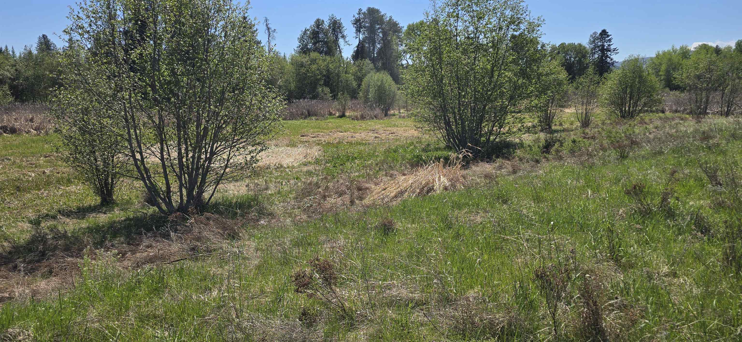 44XX N Swenson Rd - Photo 3