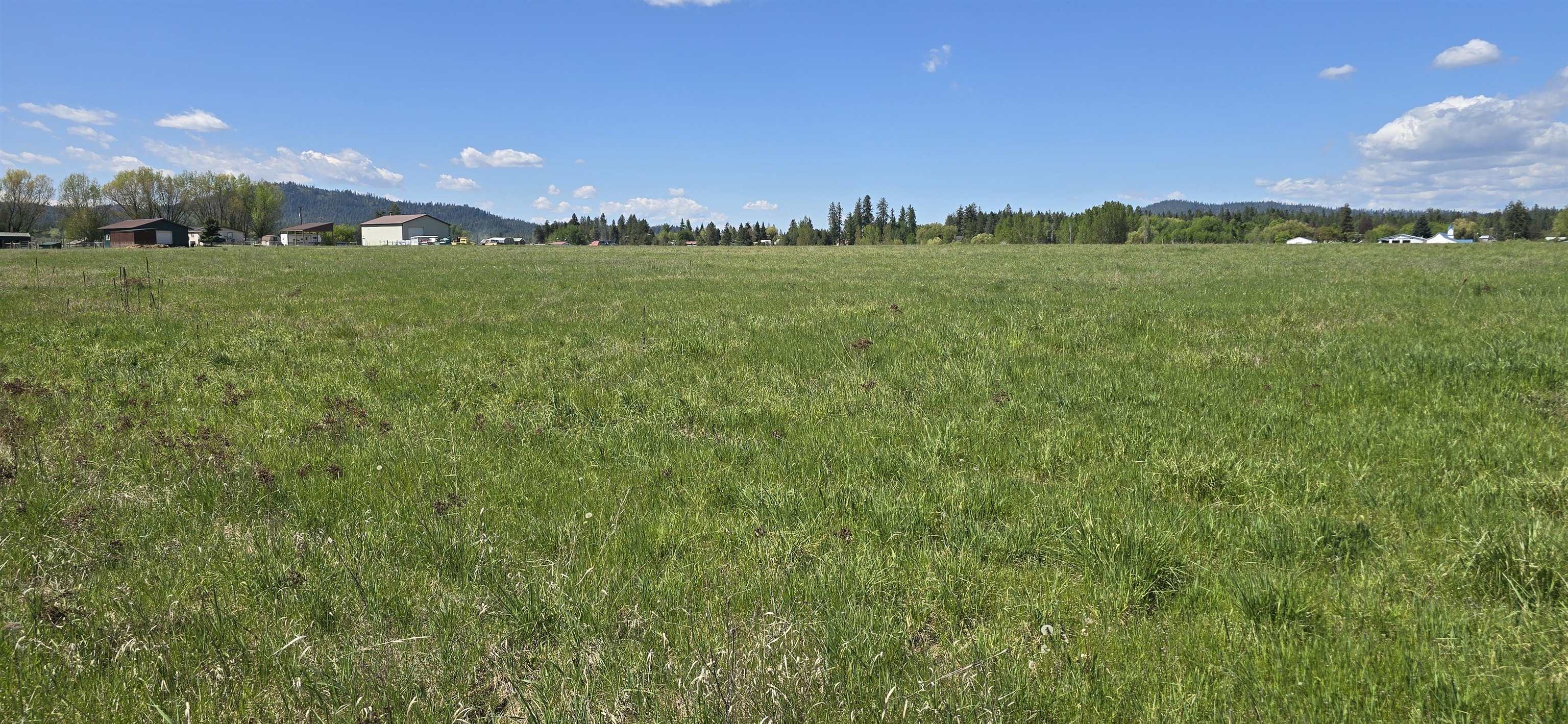 44XX N Swenson Rd - Photo 6