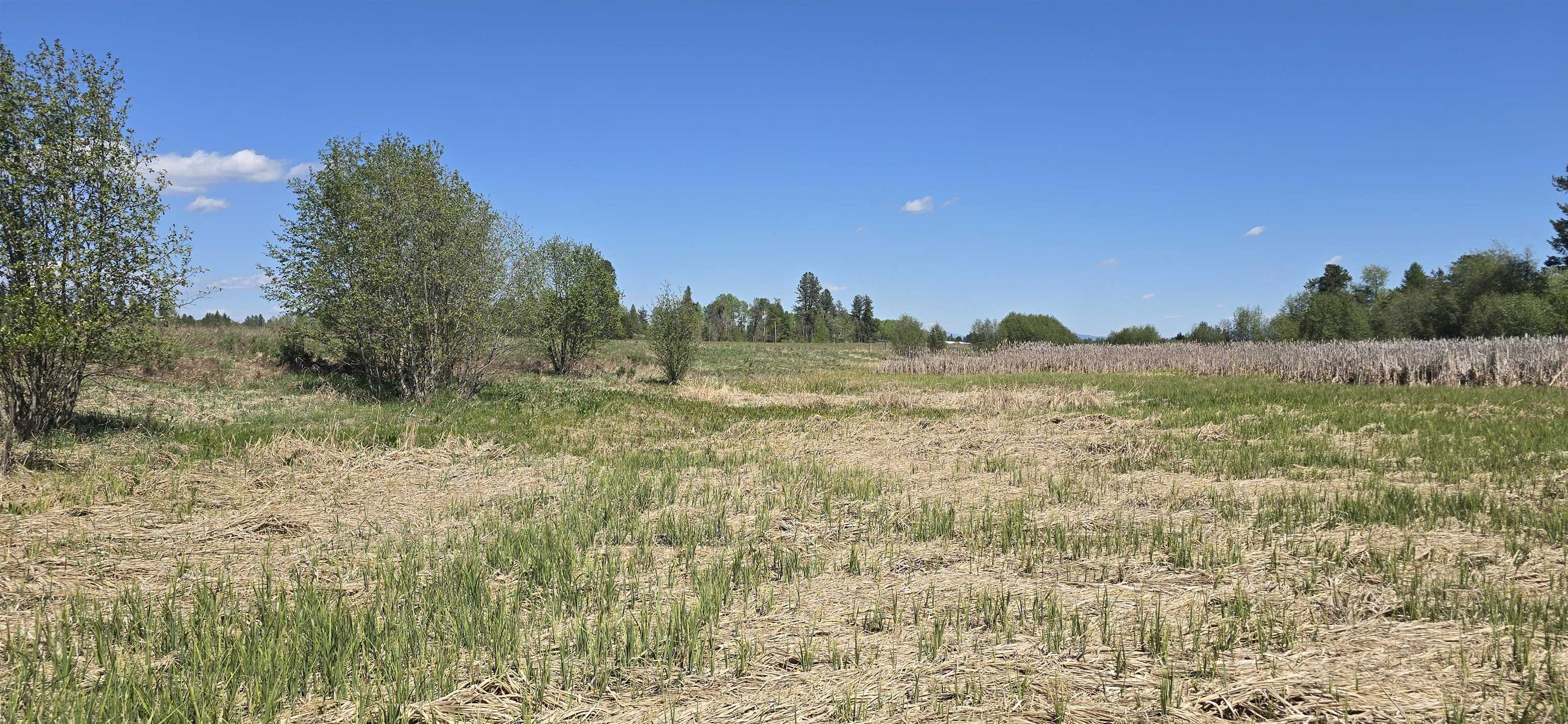 44XX N Swenson Rd - Photo 10