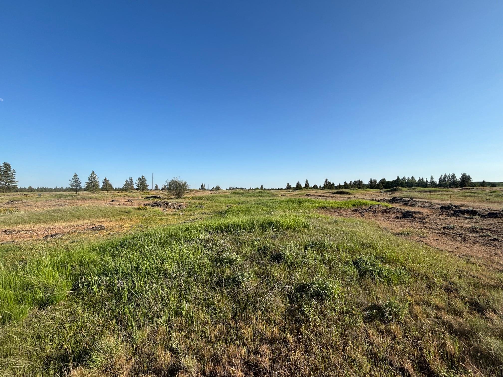 19456 S Harrison Rd - Photo 1