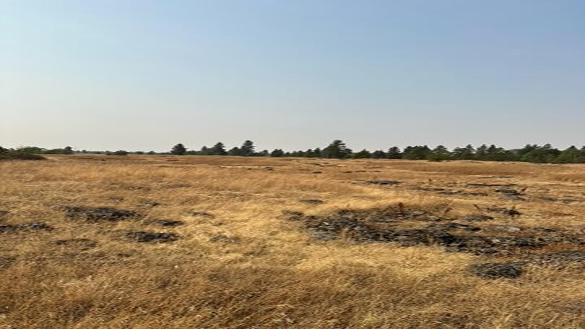 19456 S Harrison Rd - Photo 12