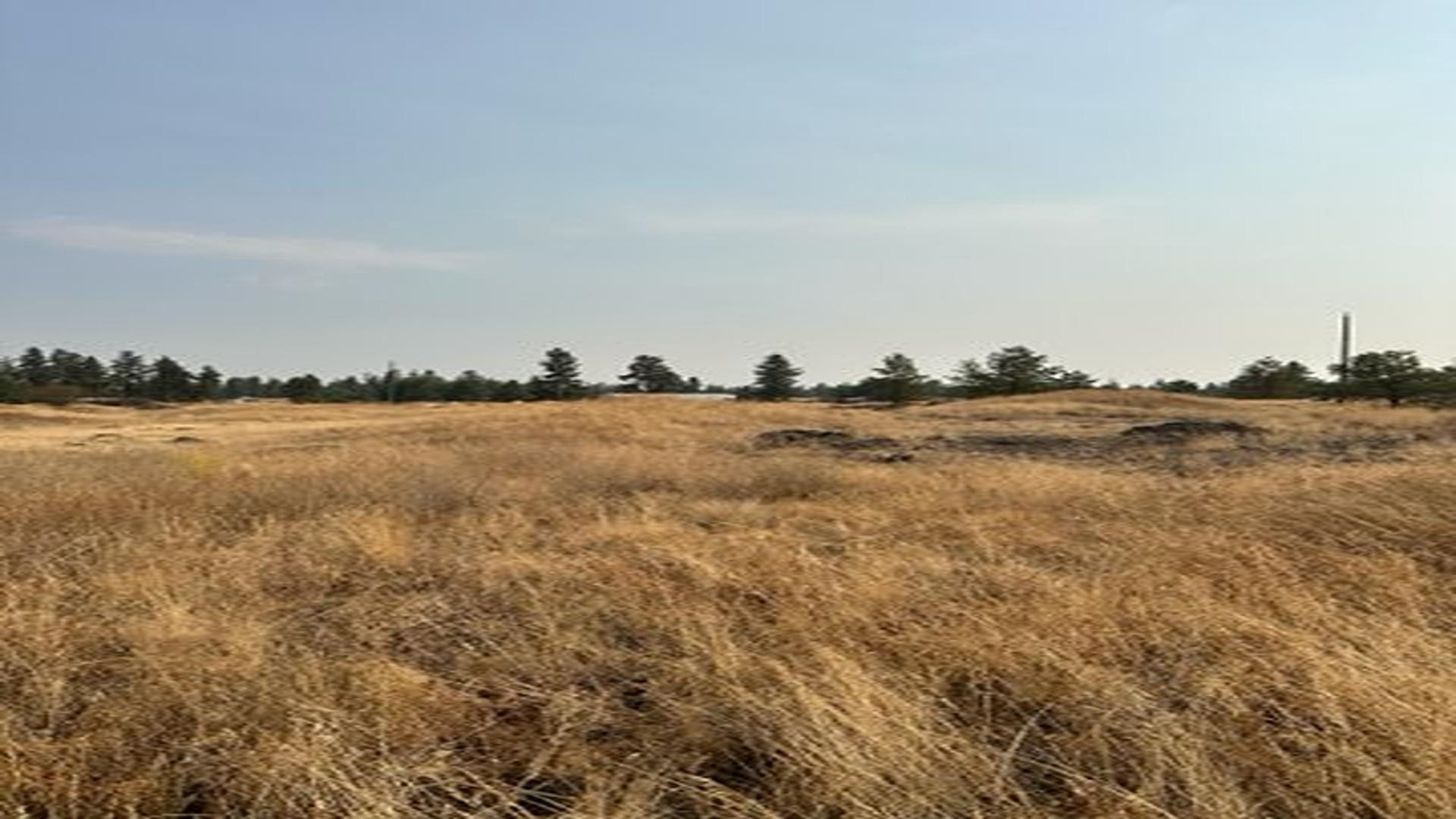19456 S Harrison Rd - Photo 15