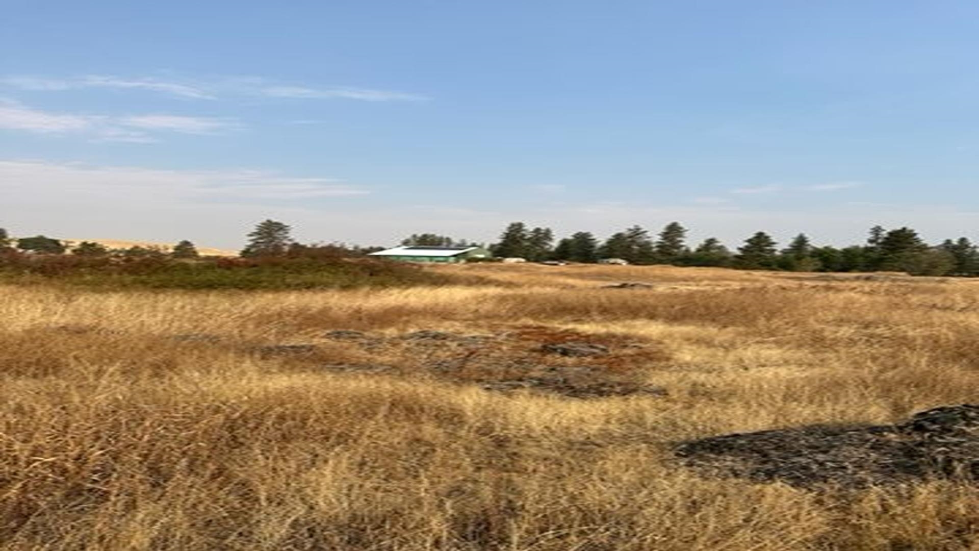 19456 S Harrison Rd - Photo 16