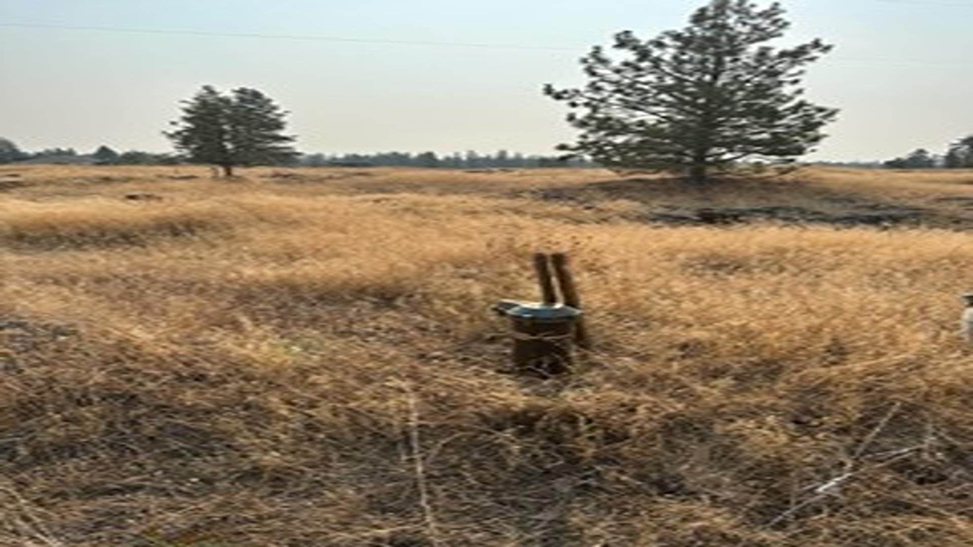 19456 S Harrison Rd - Photo 17