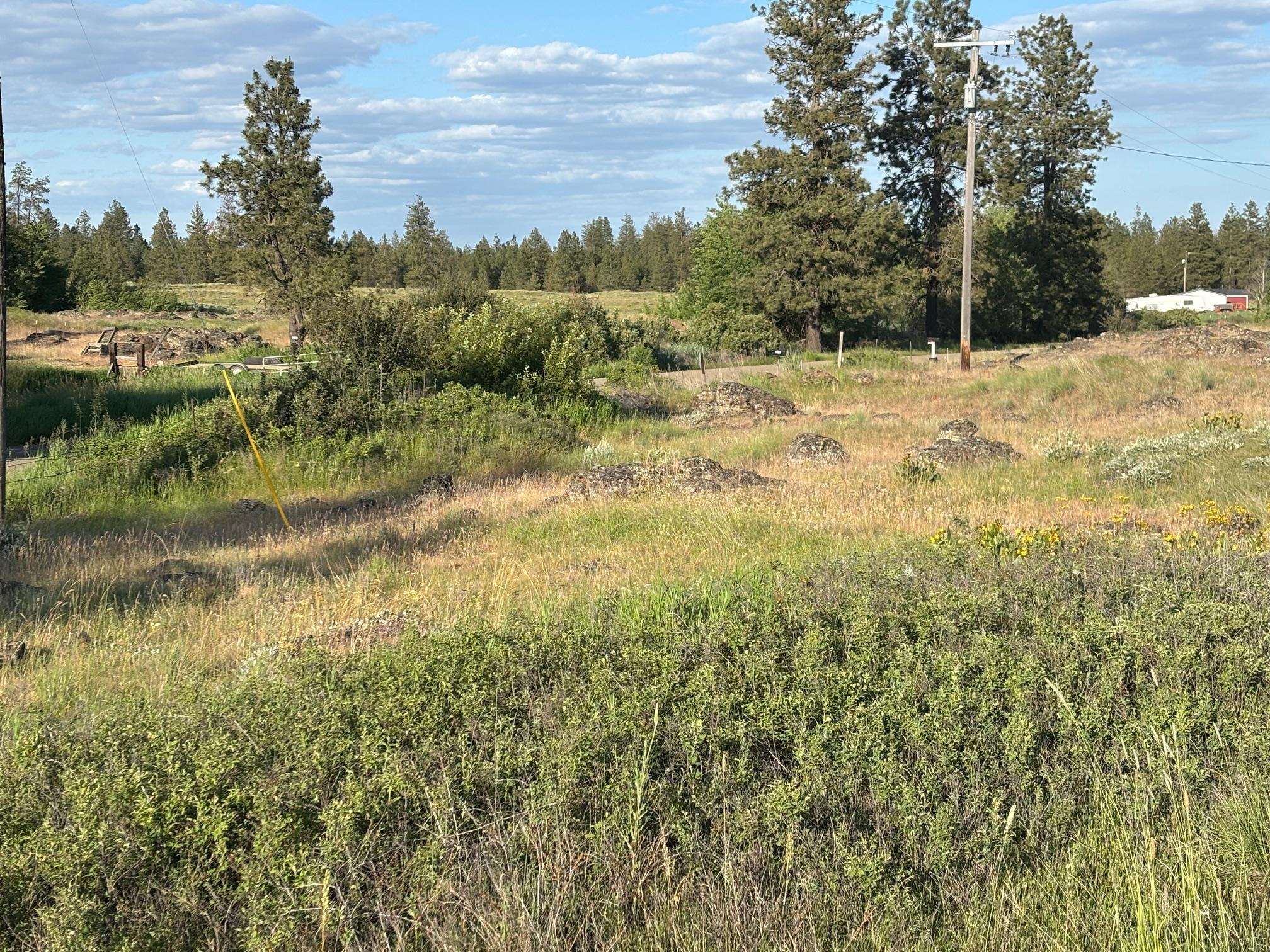 19456 S Harrison Rd - Photo 19