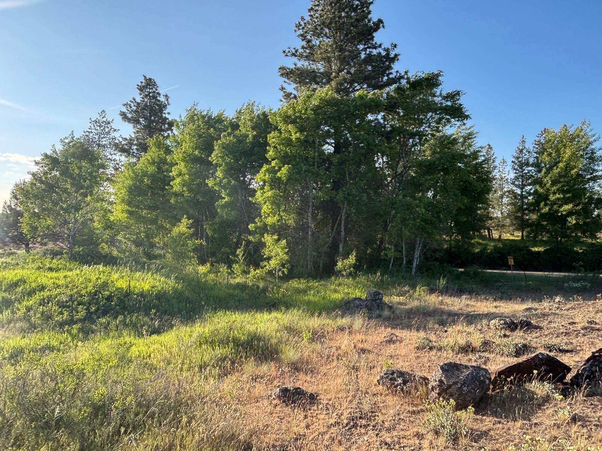 19456 S Harrison Rd - Photo 29
