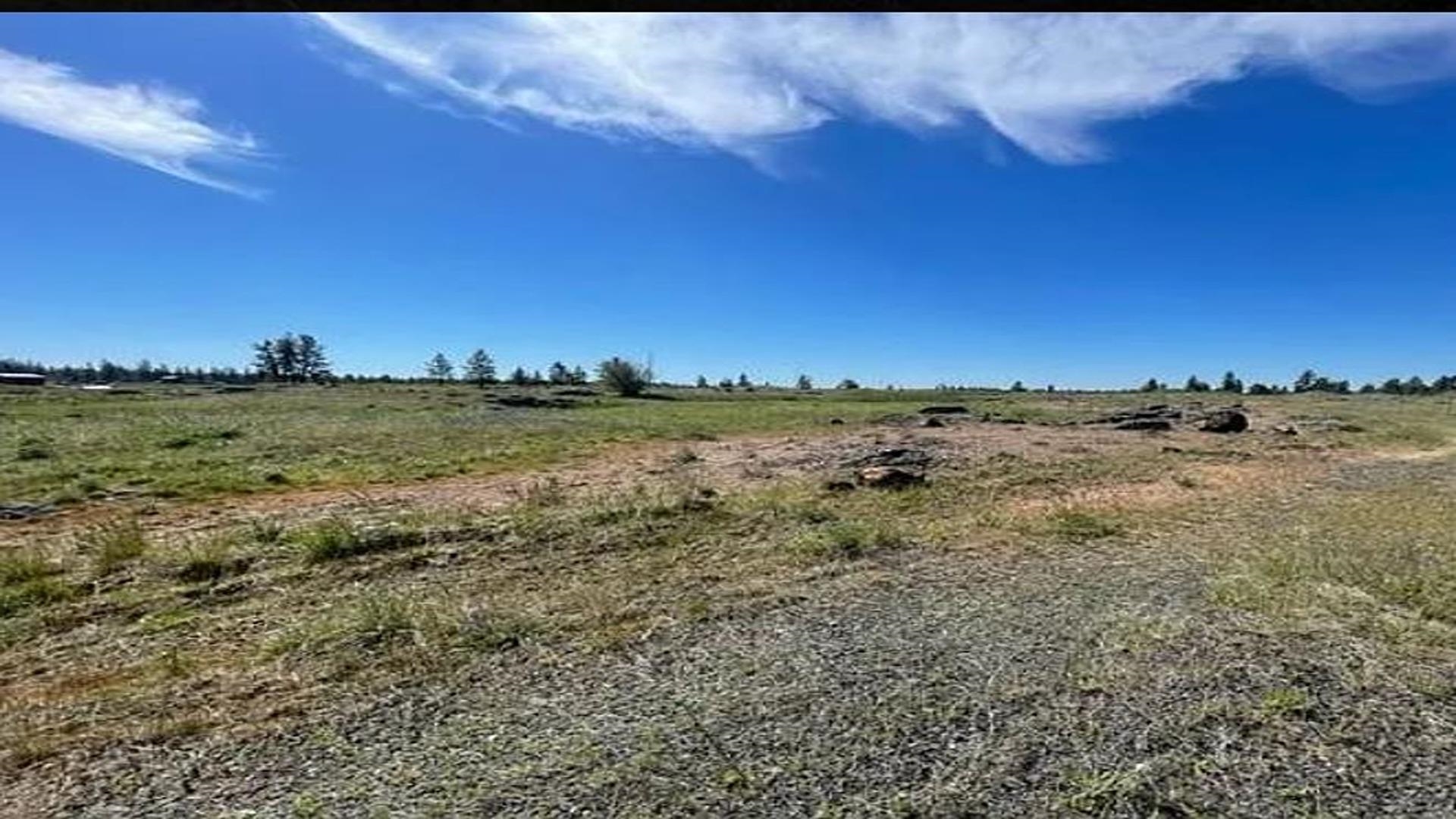 19456 S Harrison Rd - Photo 6
