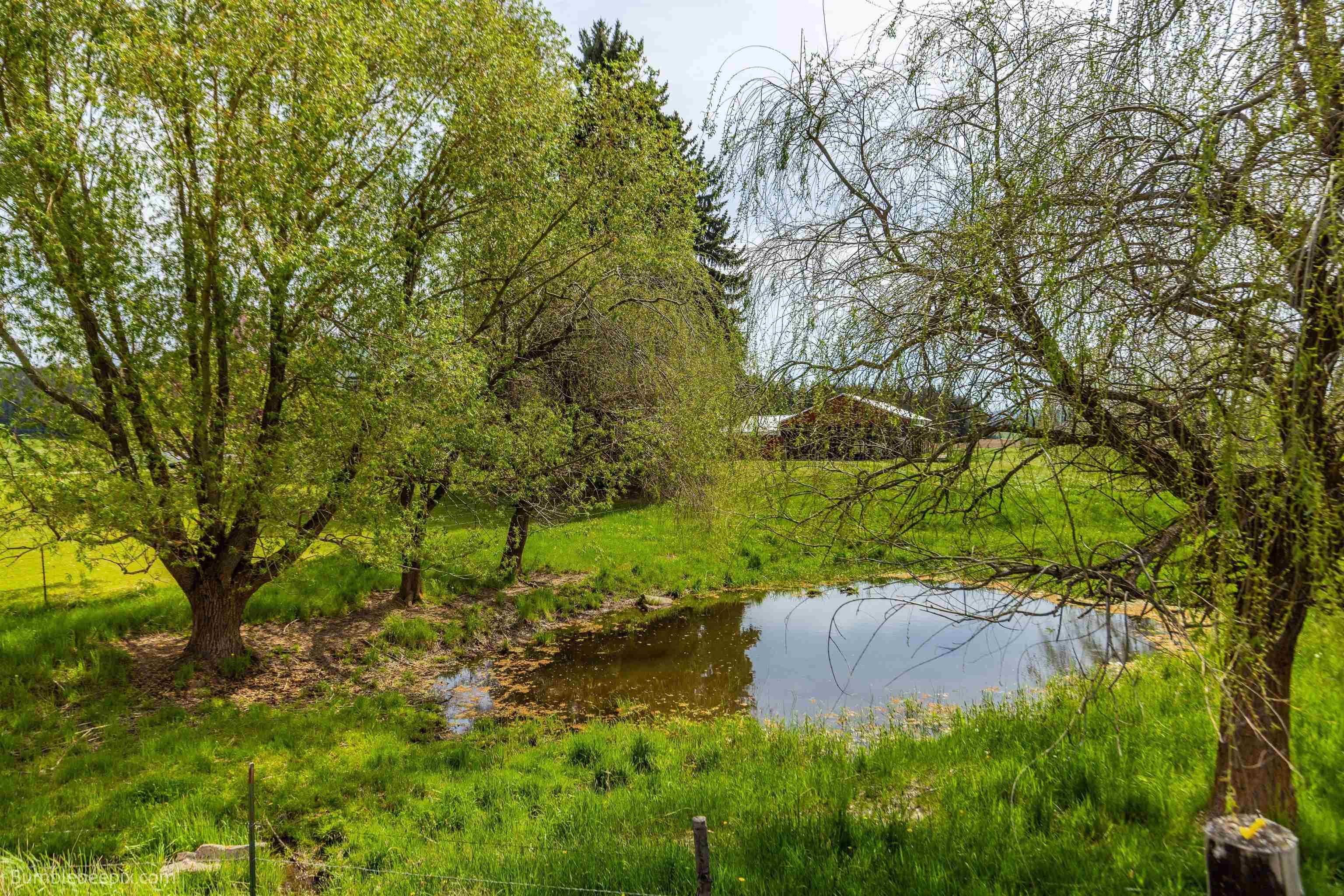 4482 E Allen Rd - Photo 10