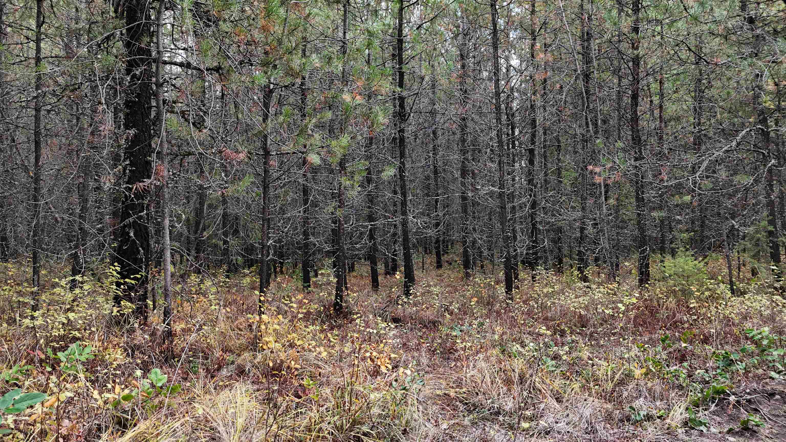 14506 Moonlight Ln - Photo 23