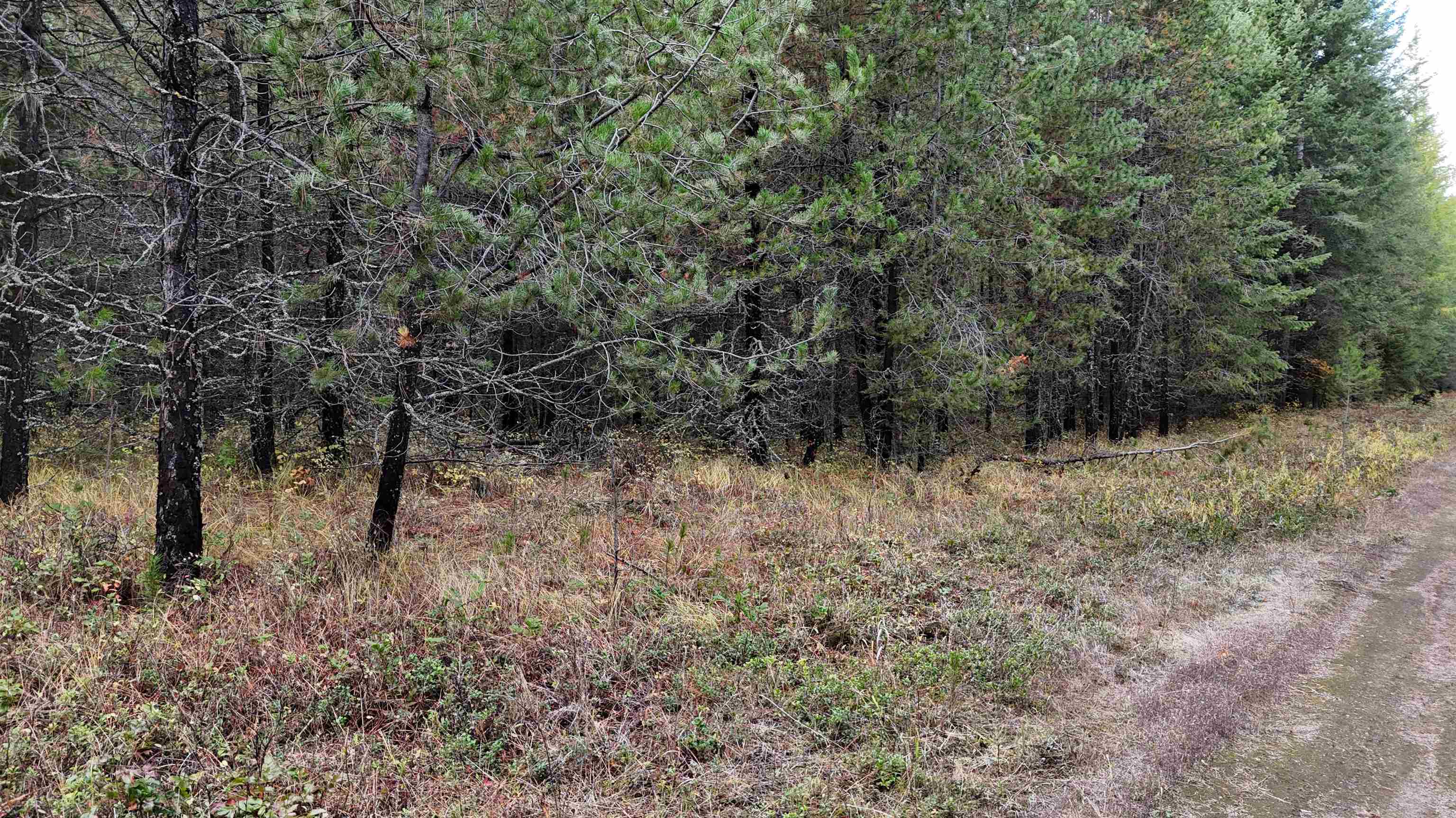 14506 Moonlight Ln - Photo 8