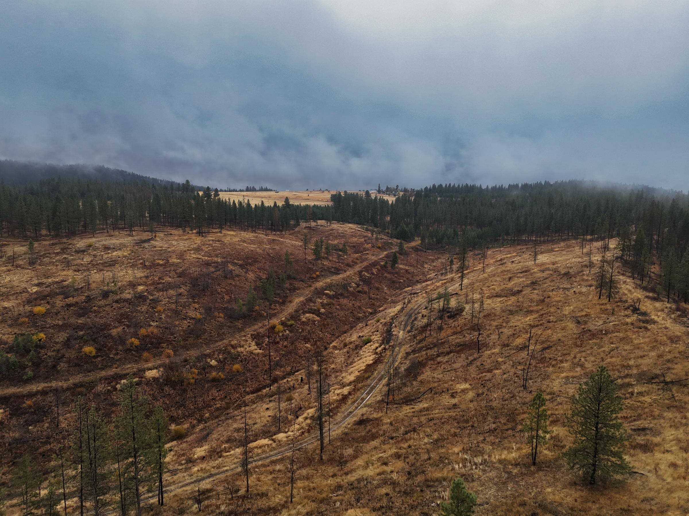 5xxx HWY 231 Hwy - Photo 13