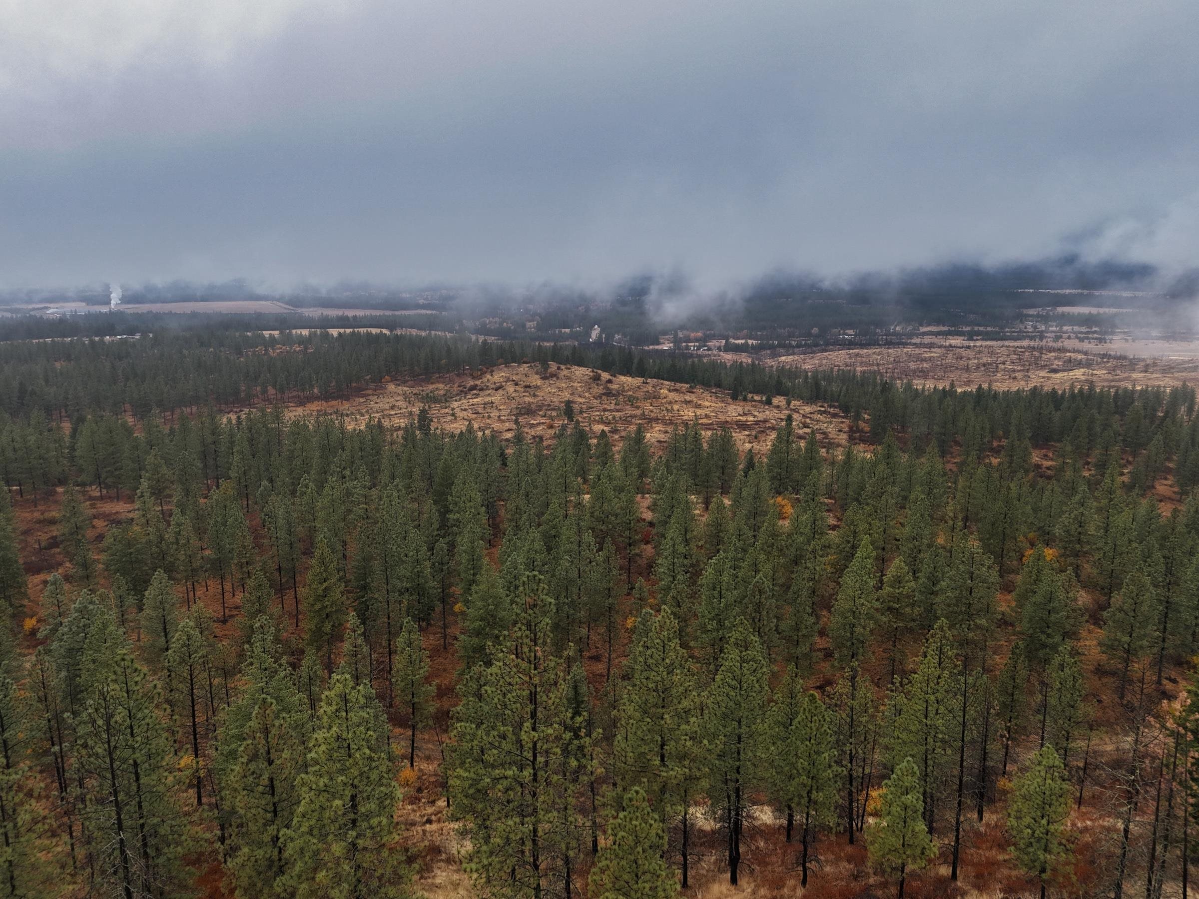 5xxx HWY 231 Hwy - Photo 14
