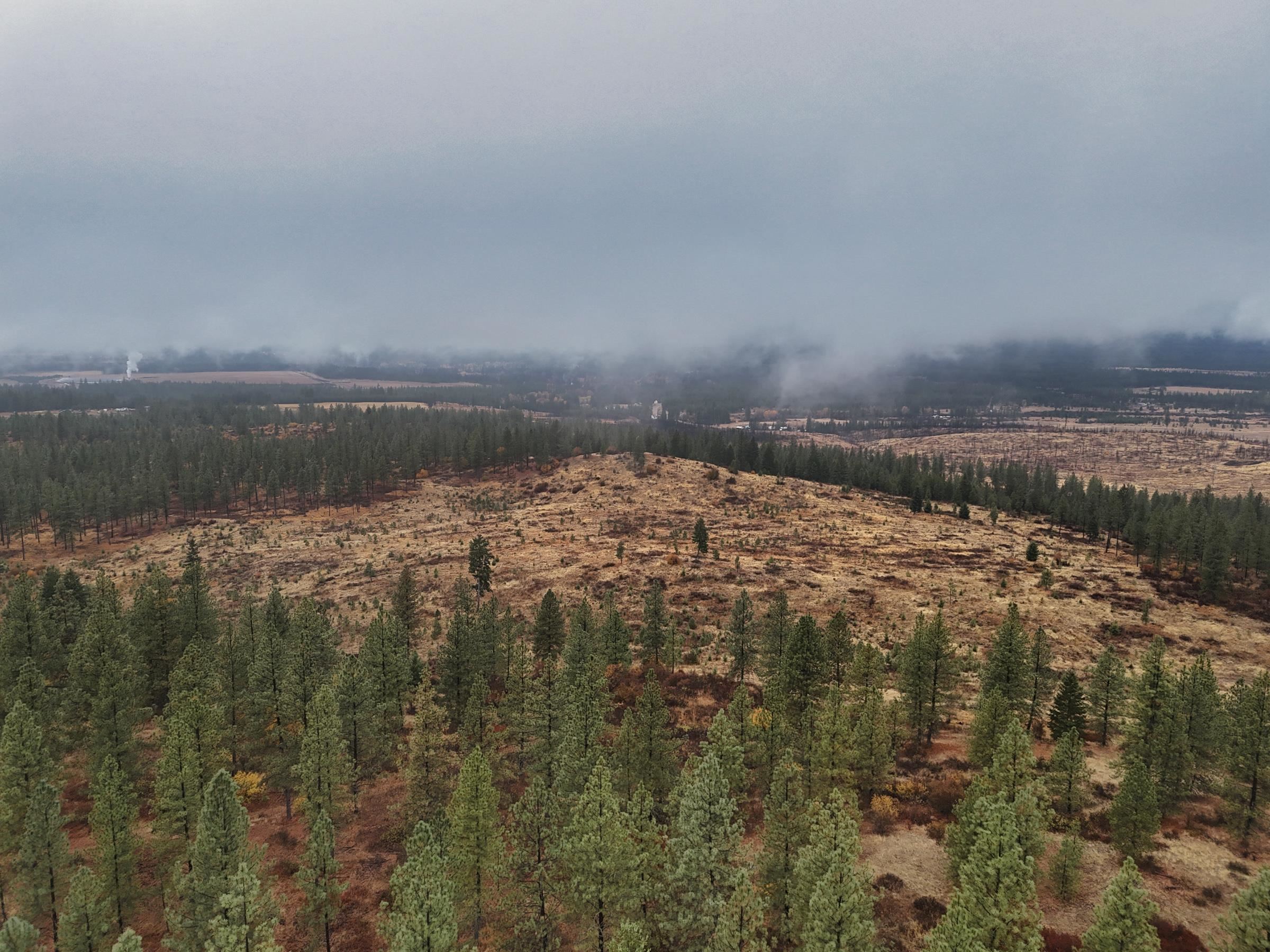5xxx HWY 231 Hwy - Photo 15