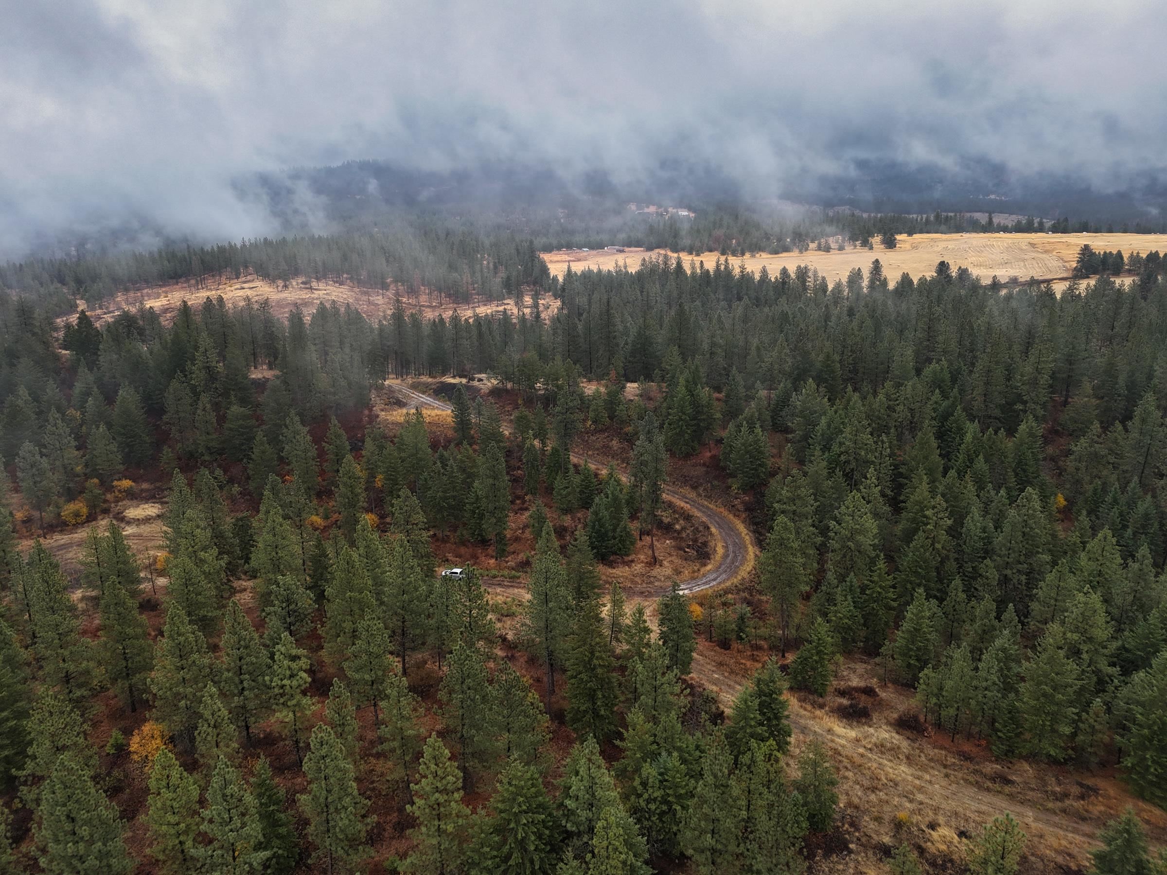 5xxx HWY 231 Hwy - Photo 19