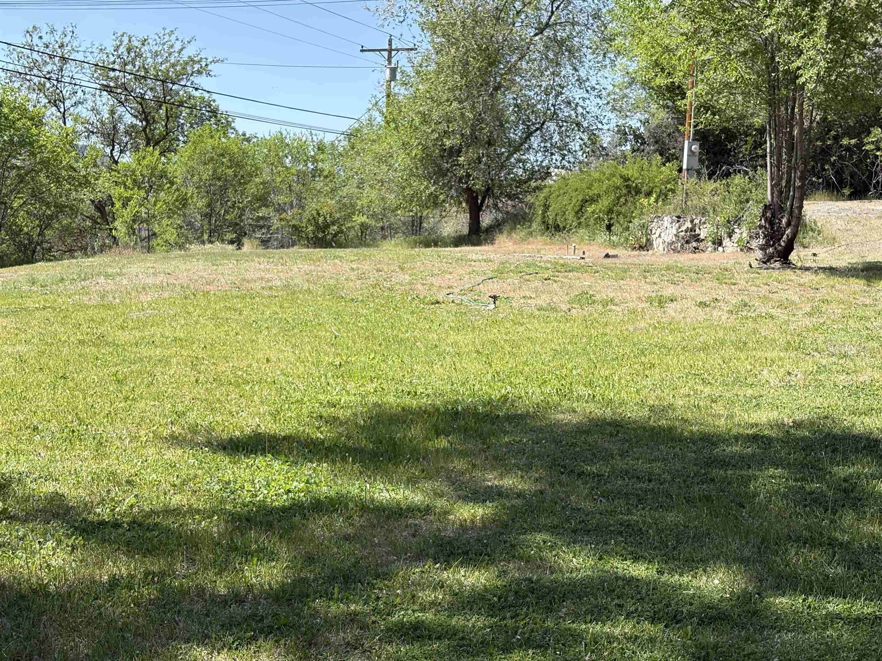 378A Elmer City Access Rd - Photo 2