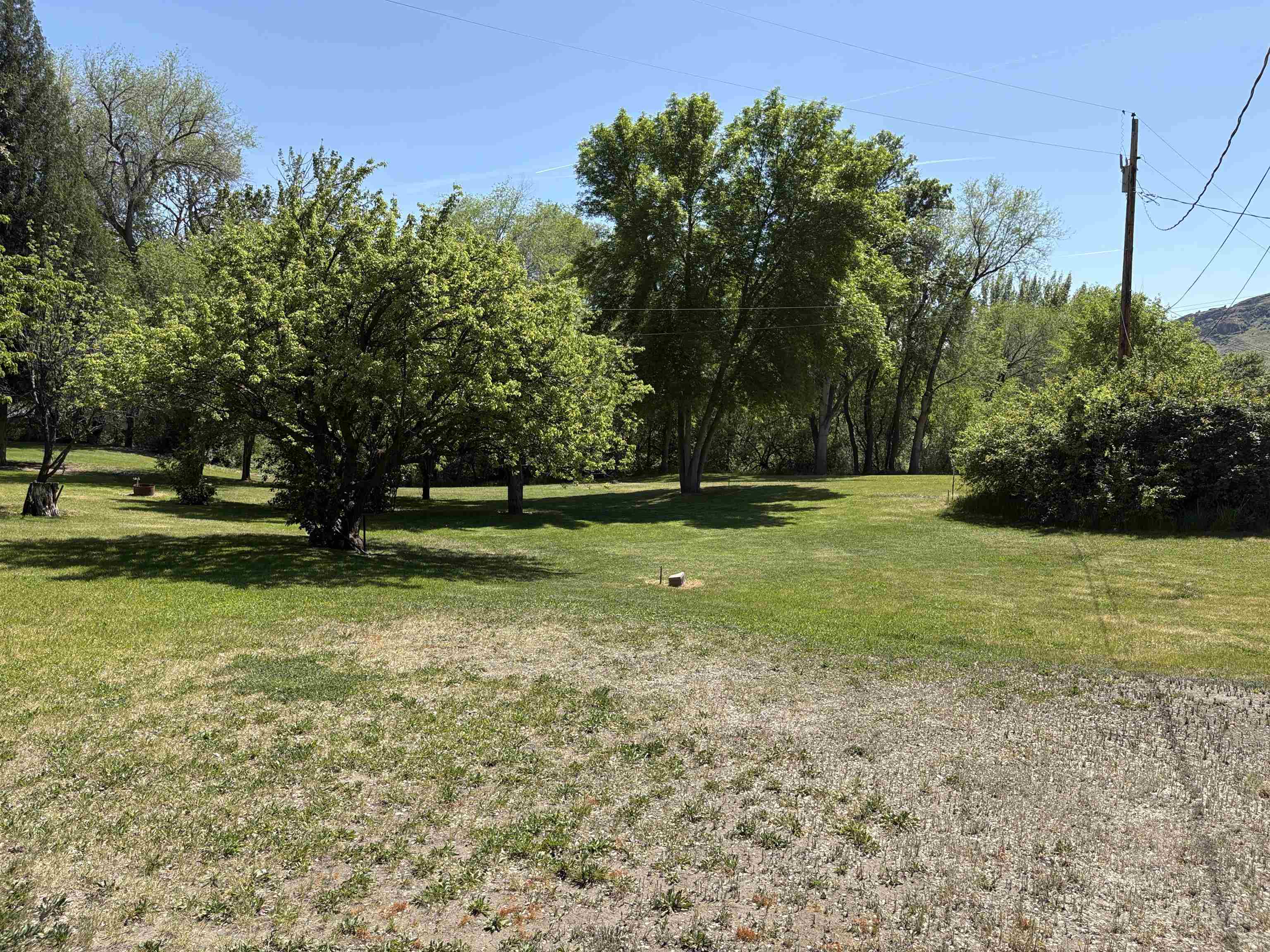378A Elmer City Access Rd - Photo 4