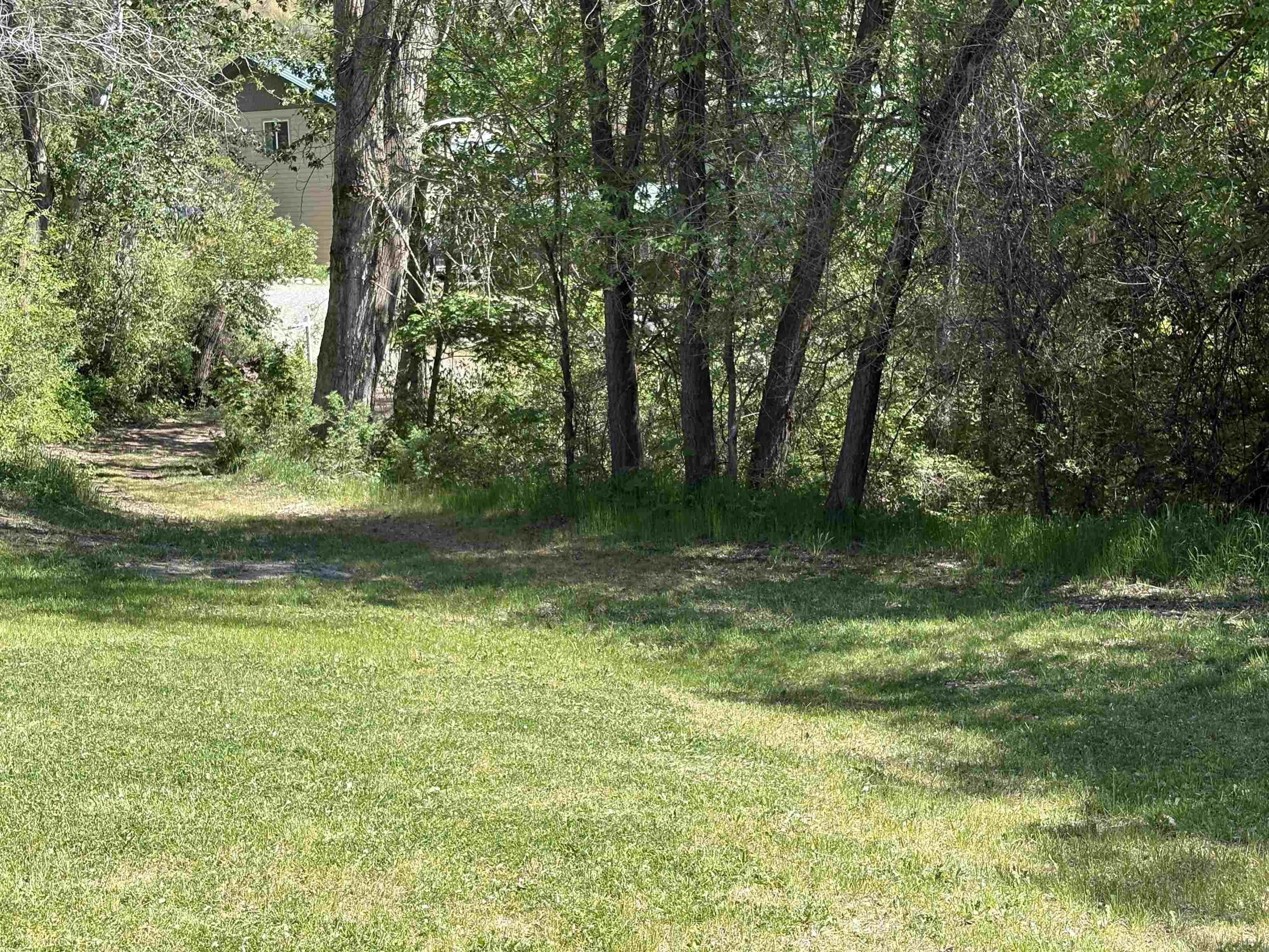 378A Elmer City Access Rd - Photo 6