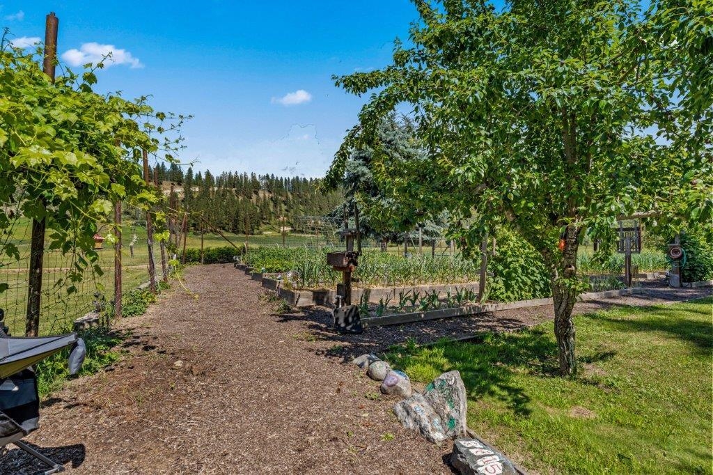 2447 Pierre Lake Rd - Photo 30