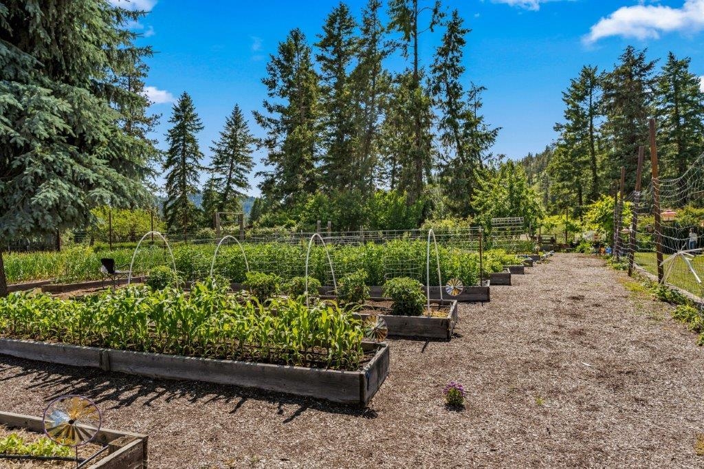 2447 Pierre Lake Rd - Photo 31