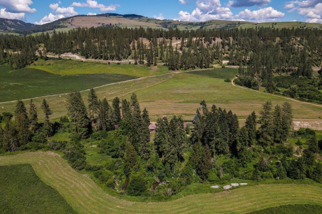 2447 Pierre Lake Rd - Photo 41