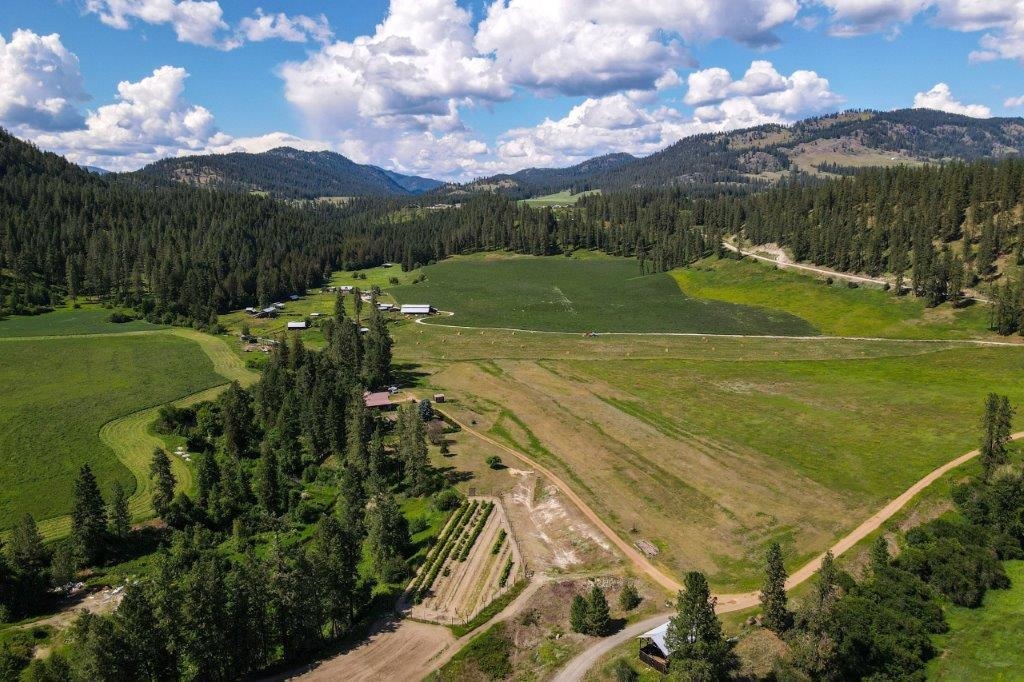 2447 Pierre Lake Rd - Photo 44
