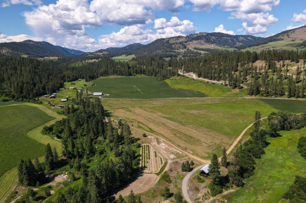 2447 Pierre Lake Rd - Photo 45