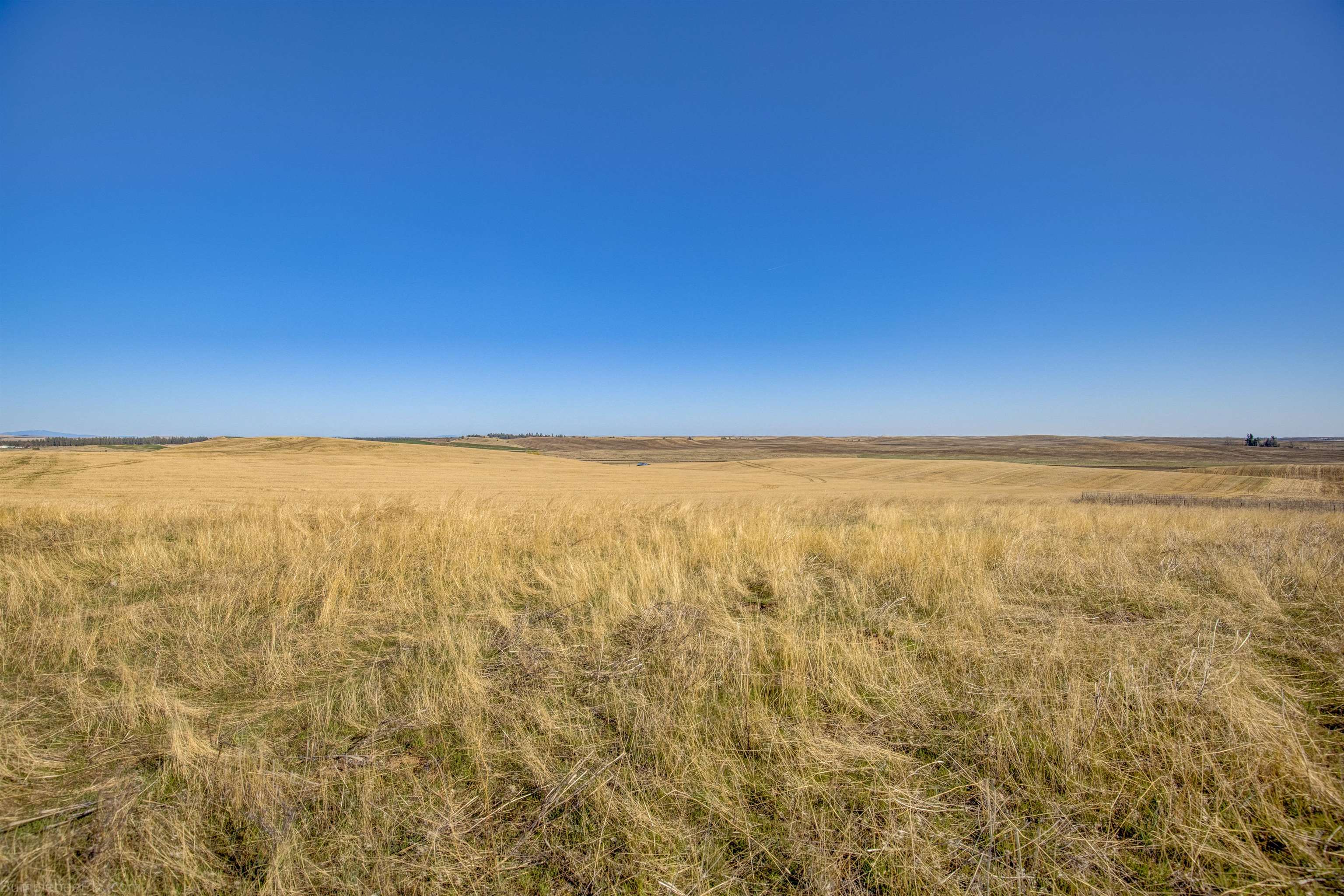 51492 Sobek Rd E Rd - Photo 33