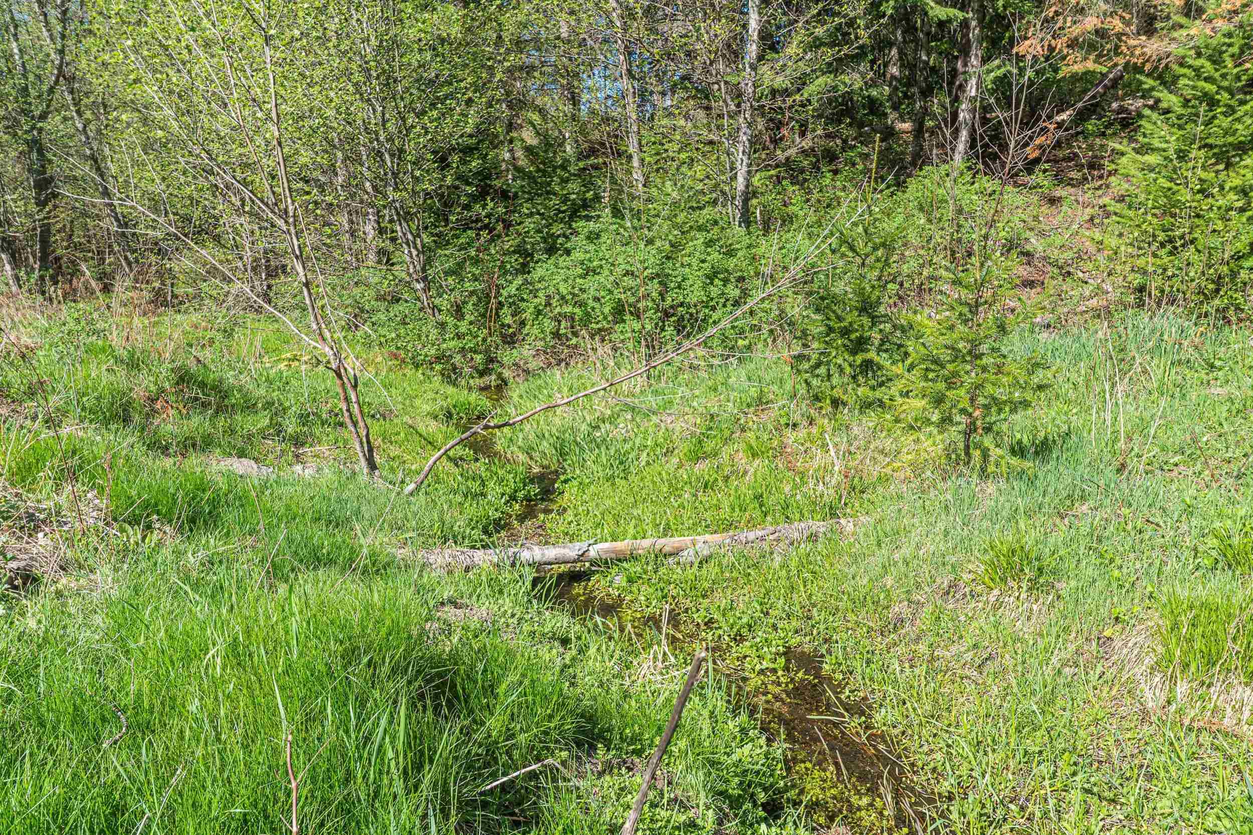 2785 Records Rd - Photo 43