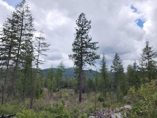33XX Veit Rd - Photo 11