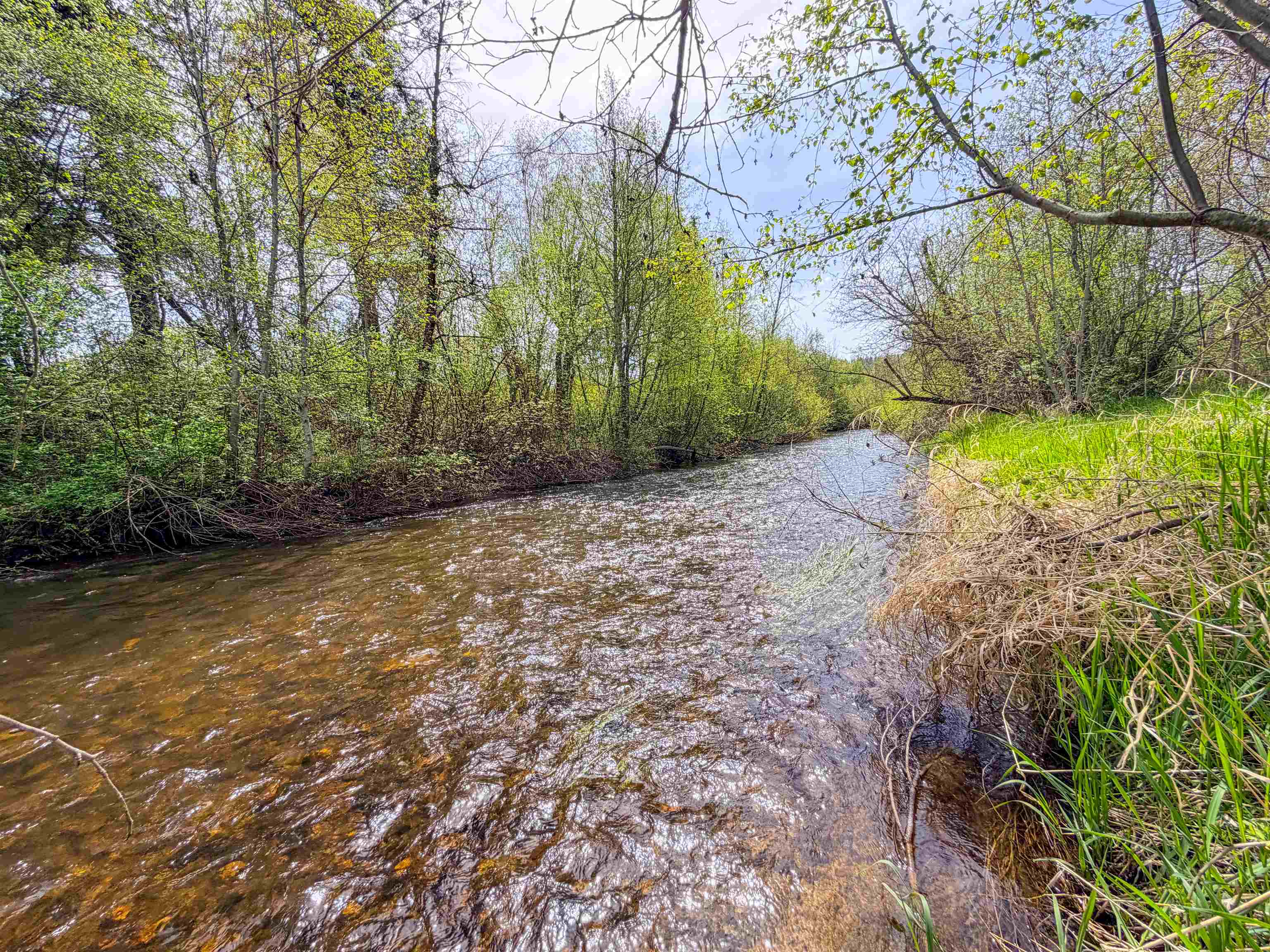 617 Arden Hill Rd - Photo 48