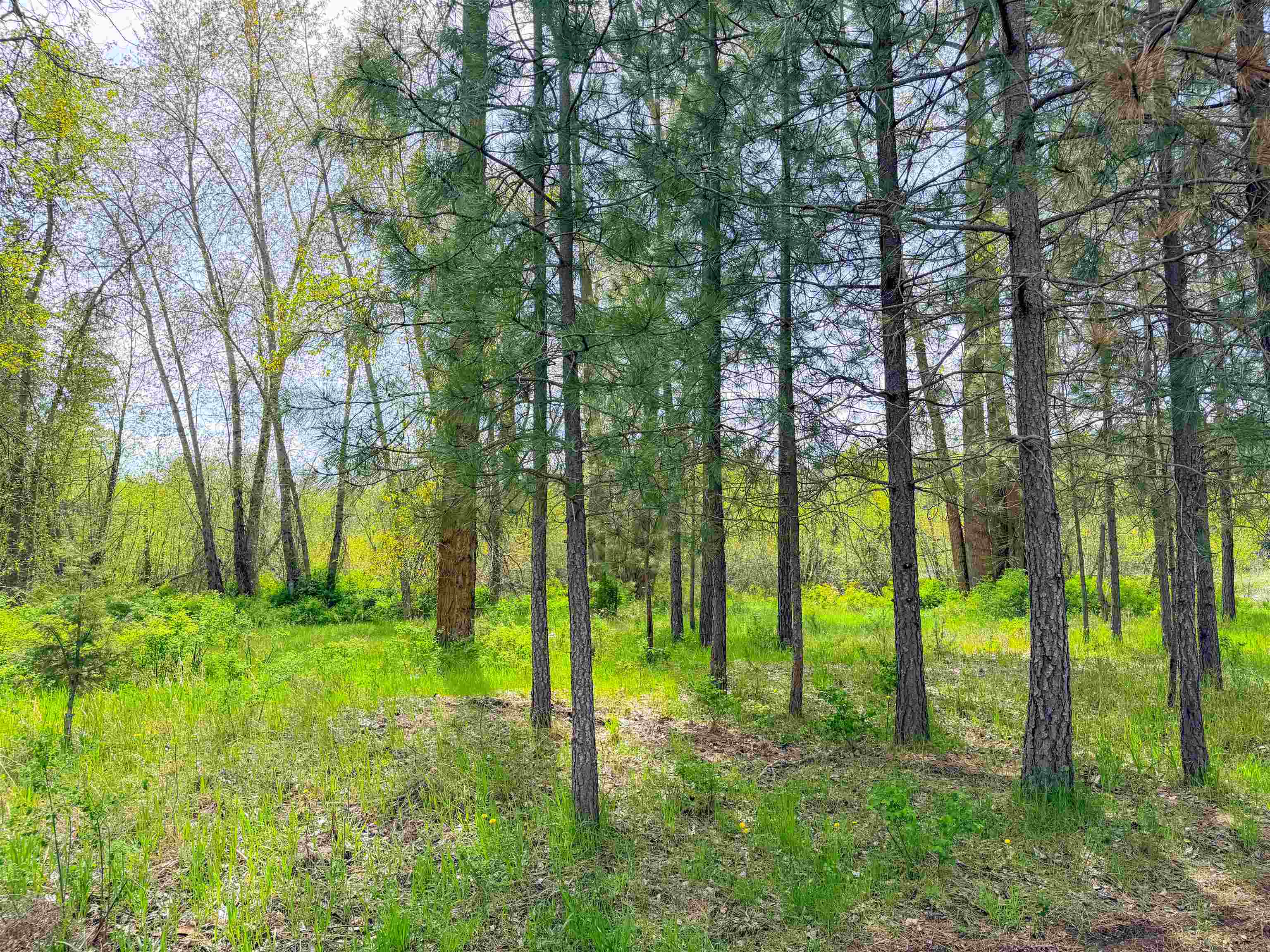 617 Arden Hill Rd - Photo 50