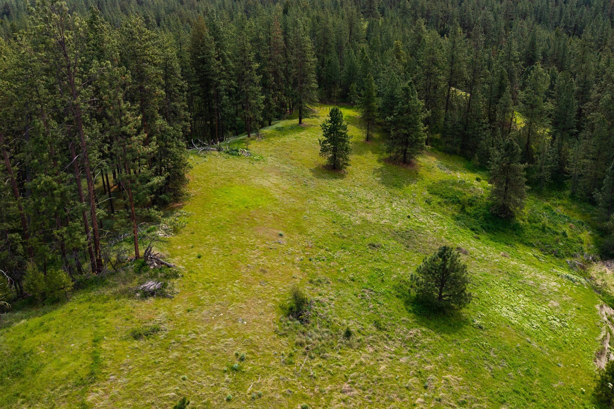 5315 Lantzy Rd - Photo 4