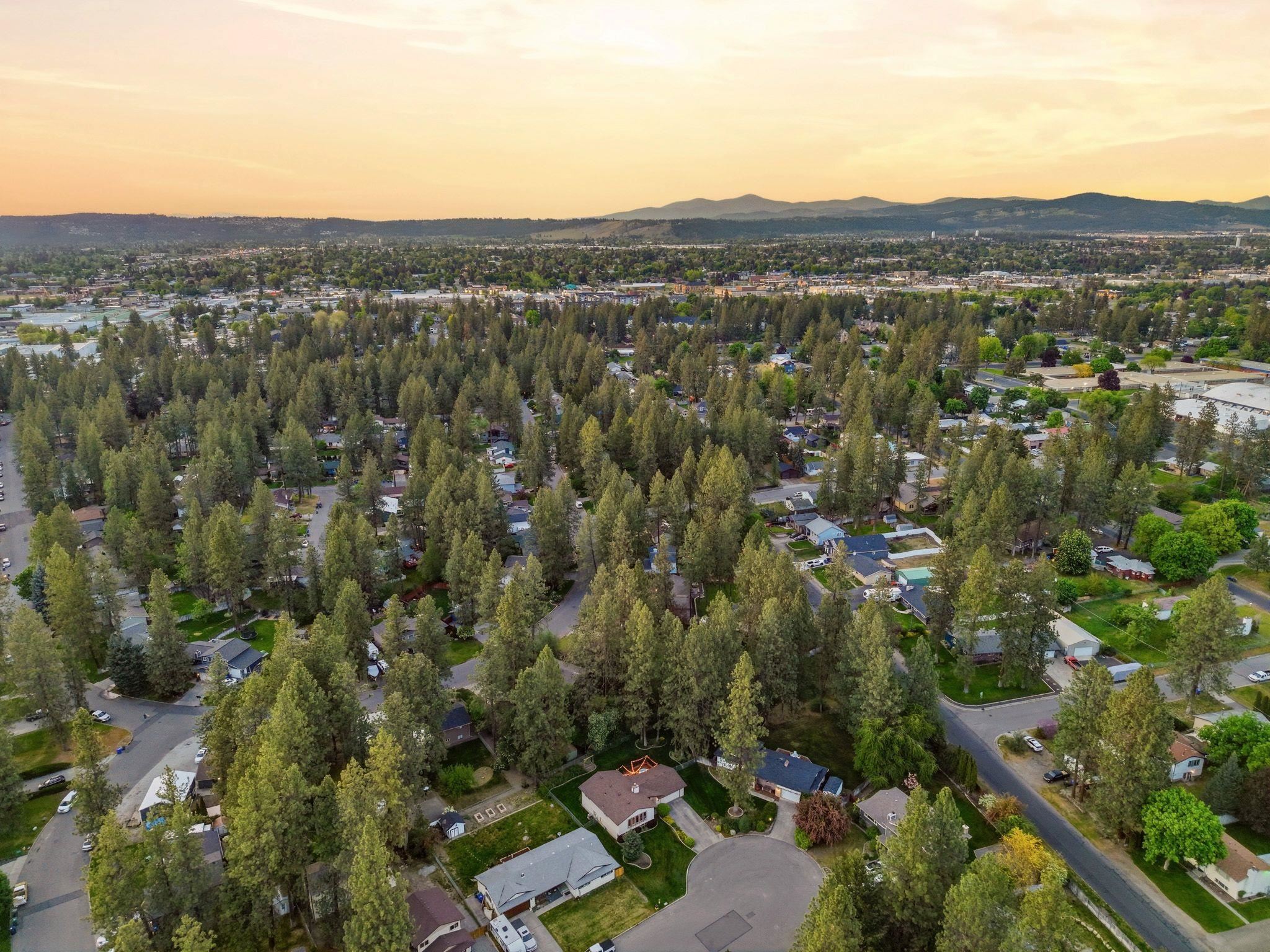 9719 E Crossbow Ct - Photo 46