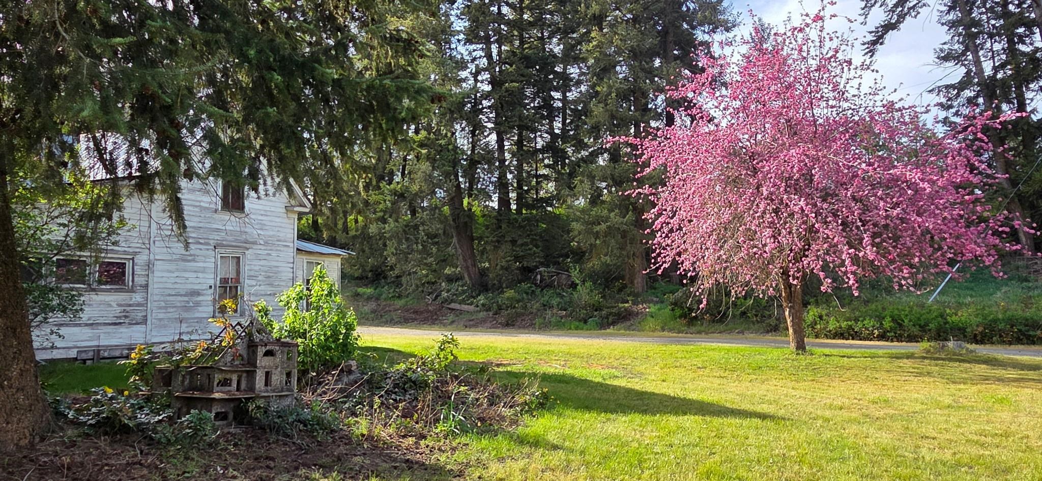 1684 Stanley Loop - Photo 20