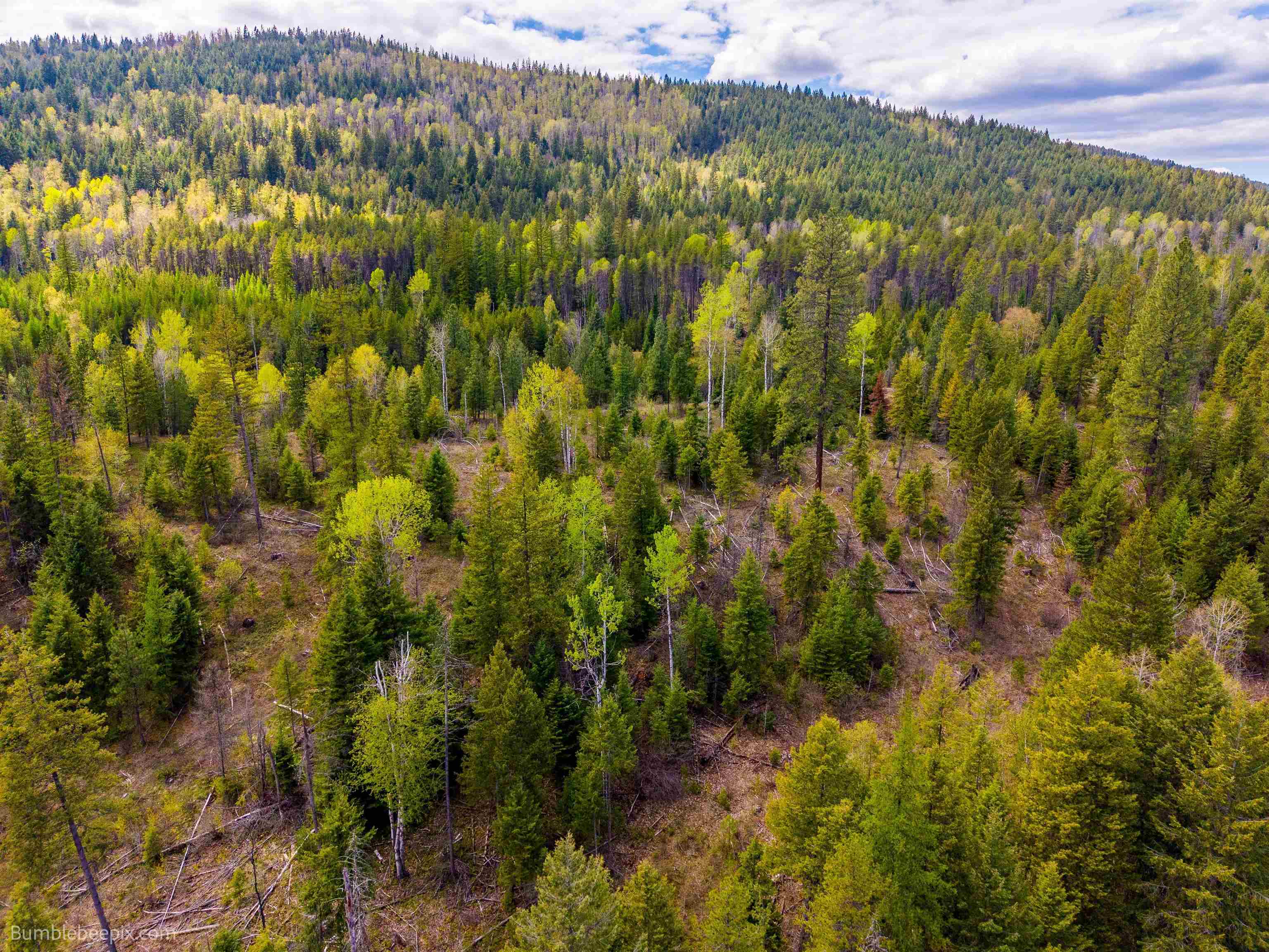 391254 20 Hwy - Photo 14