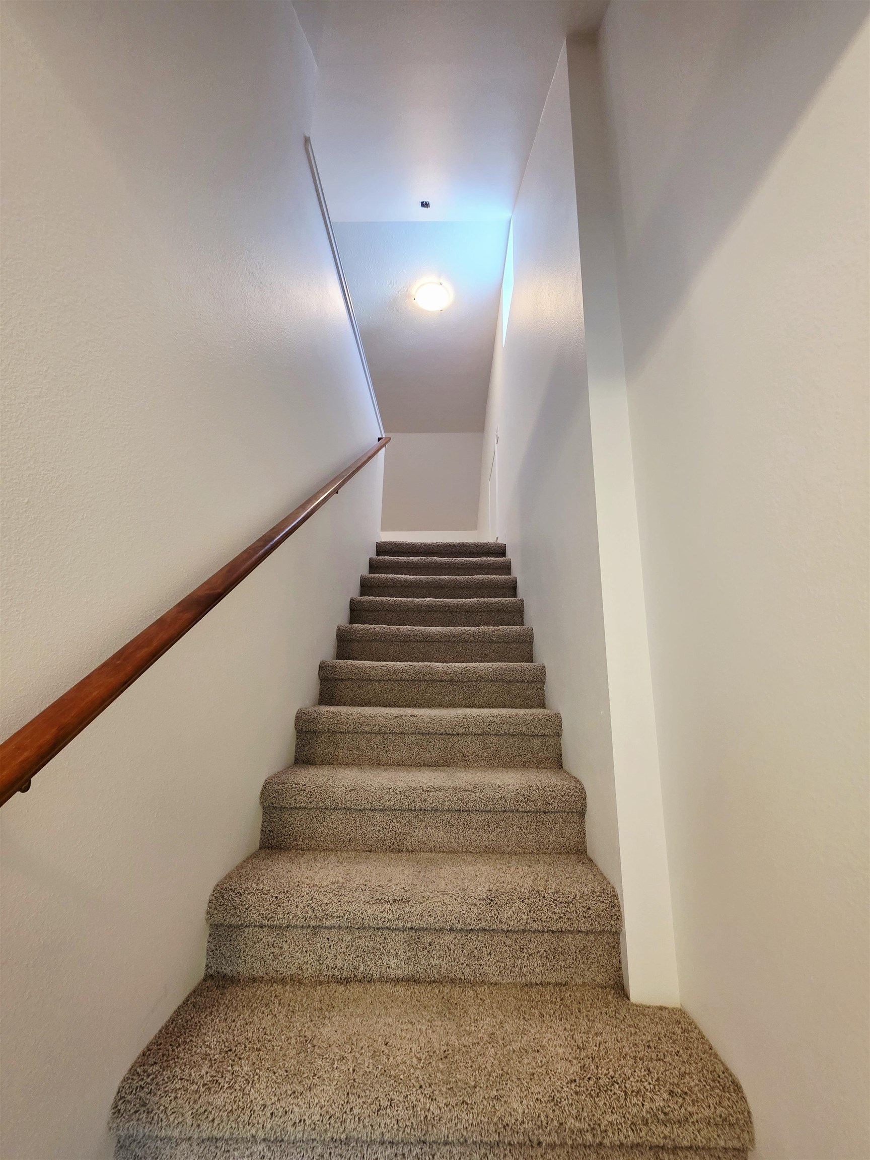 6004 E Mt. Spokane Park Dr - Photo 16
