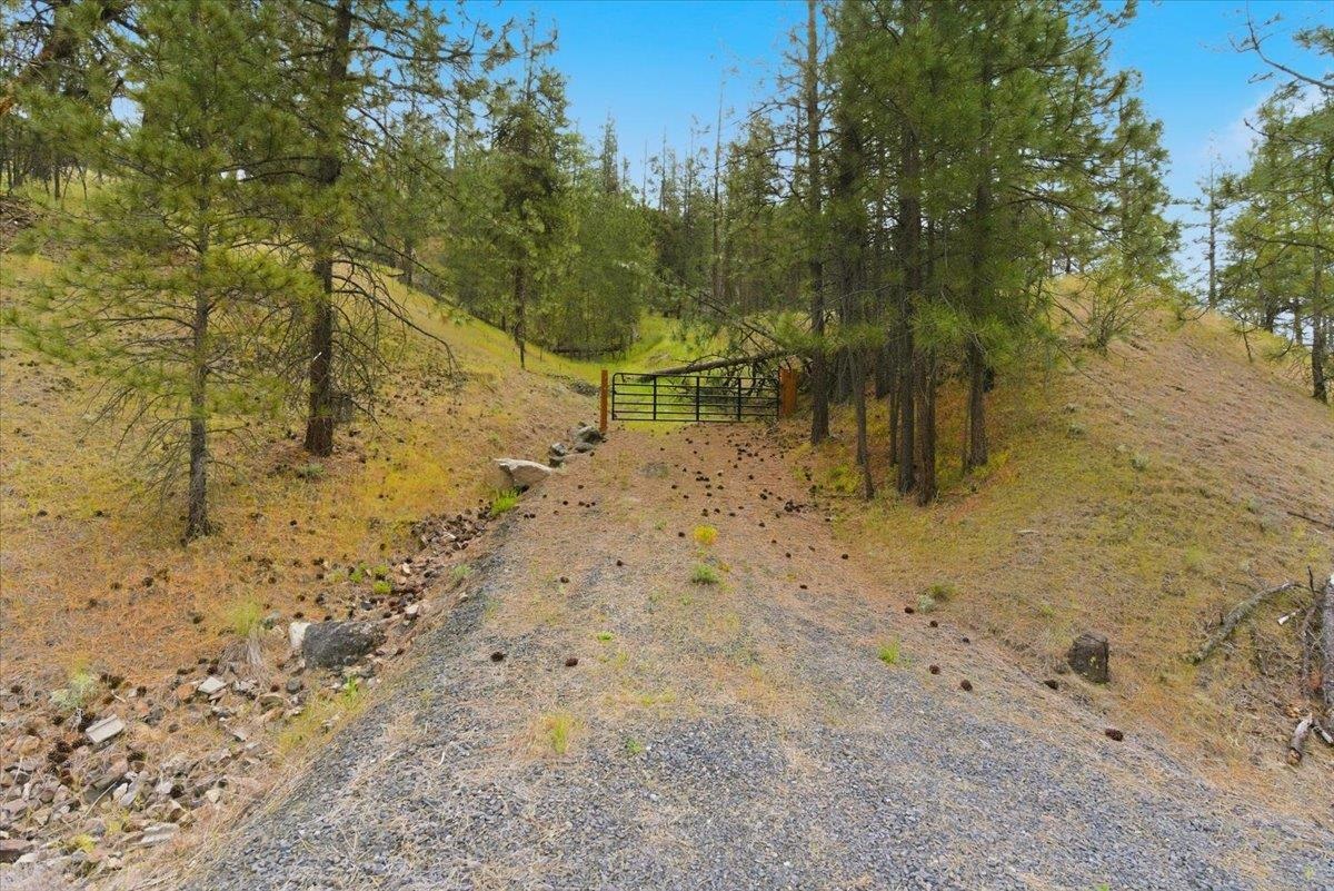 7049 Hwy 291 Hwy - Photo 6