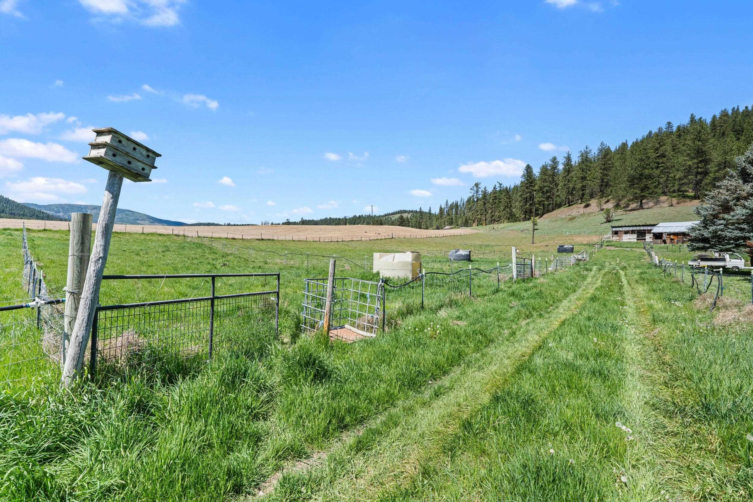 2083 Marble Valley Basin Rd Rd - Photo 26