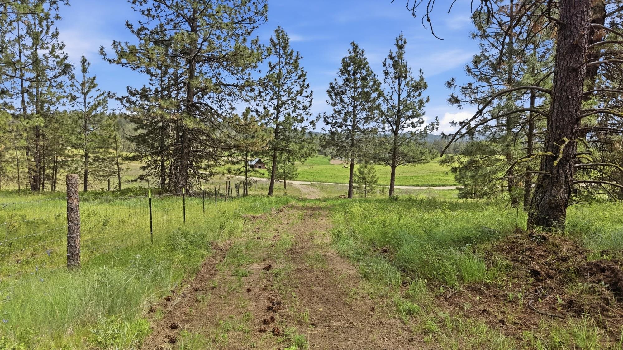 55XX Rocky Top Way - Photo 12