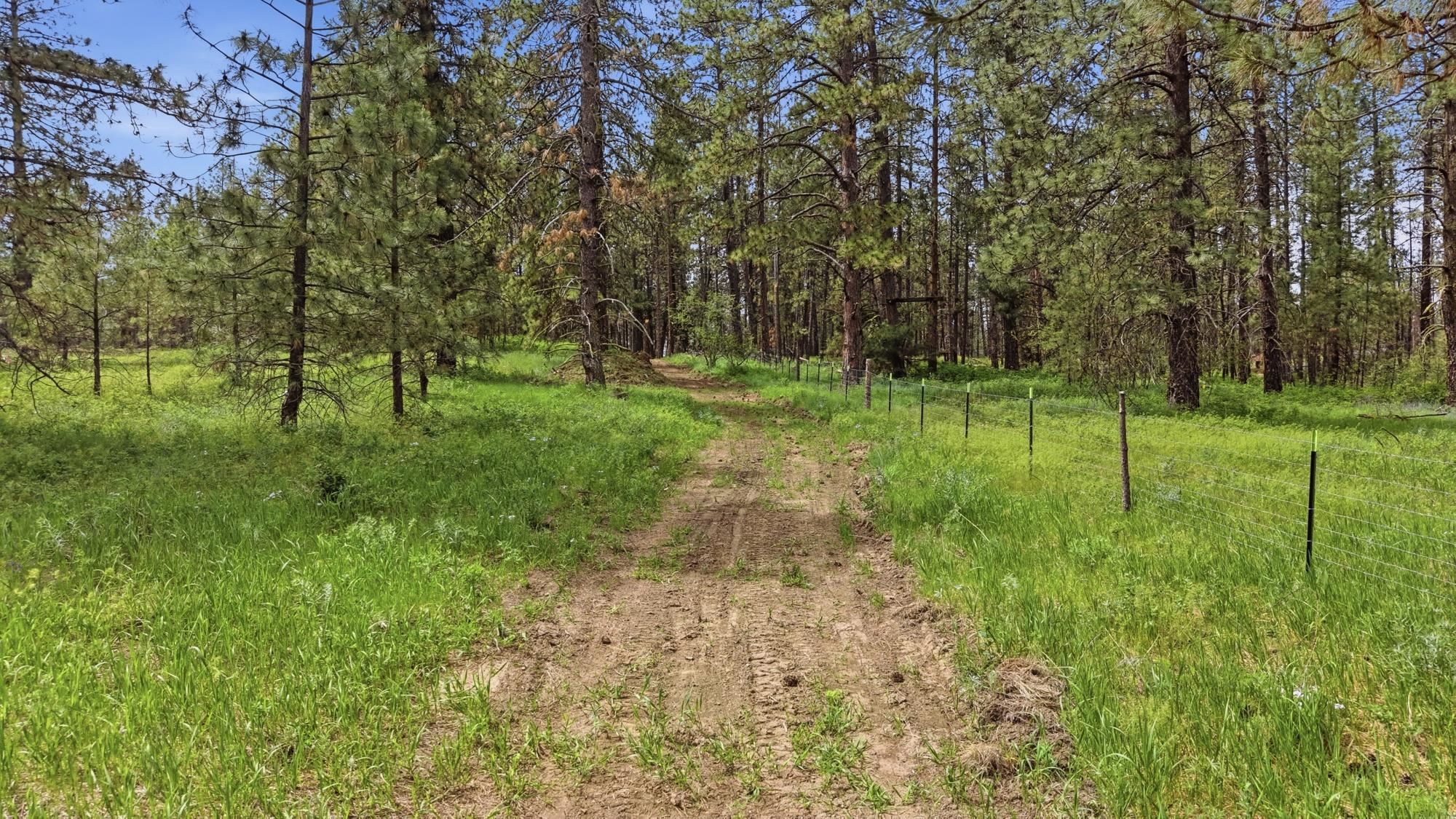 55XX Rocky Top Way - Photo 5