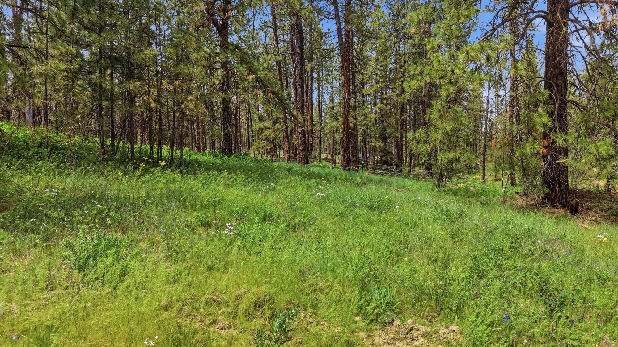 55XX Rocky Top Way - Photo 10