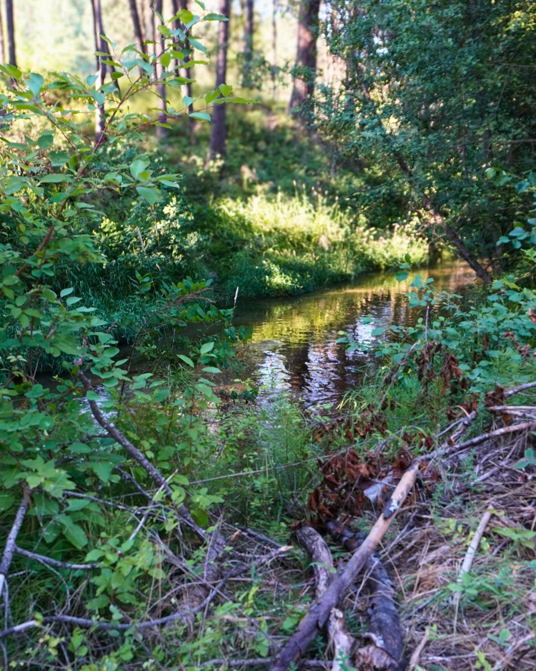 NKA Pines Rd - Photo 2