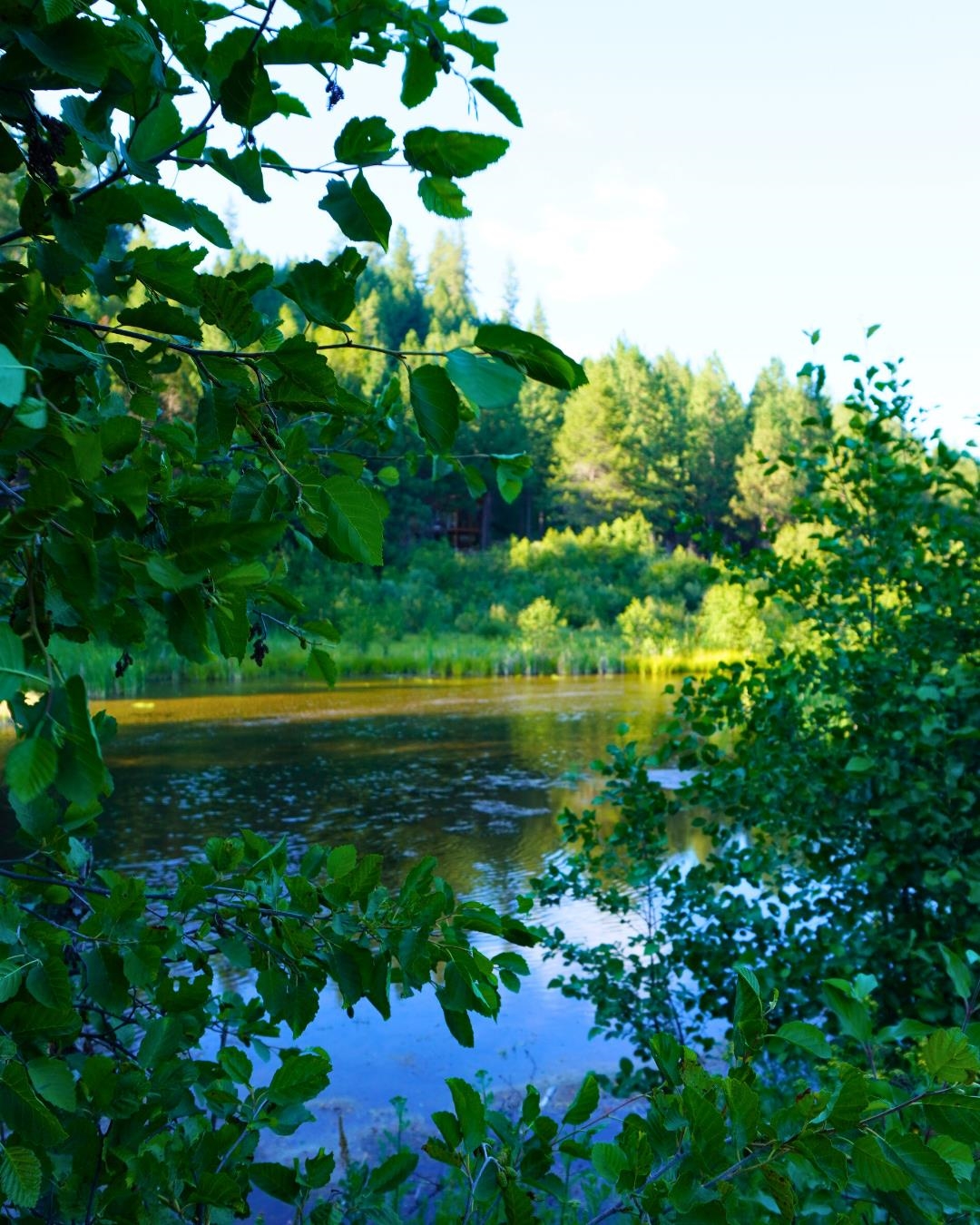 NKA Pines Rd - Photo 12