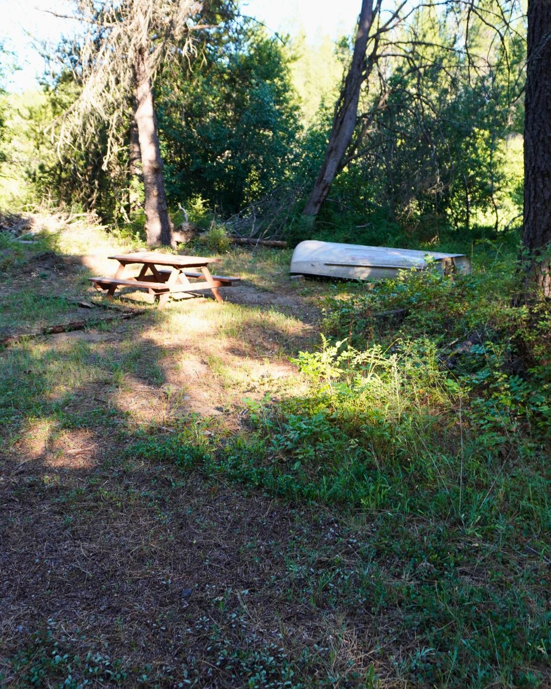 NKA Pines Rd - Photo 4