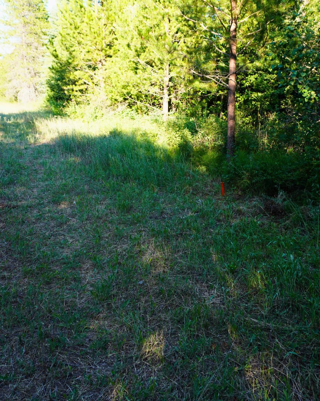 NKA Pines Rd - Photo 7