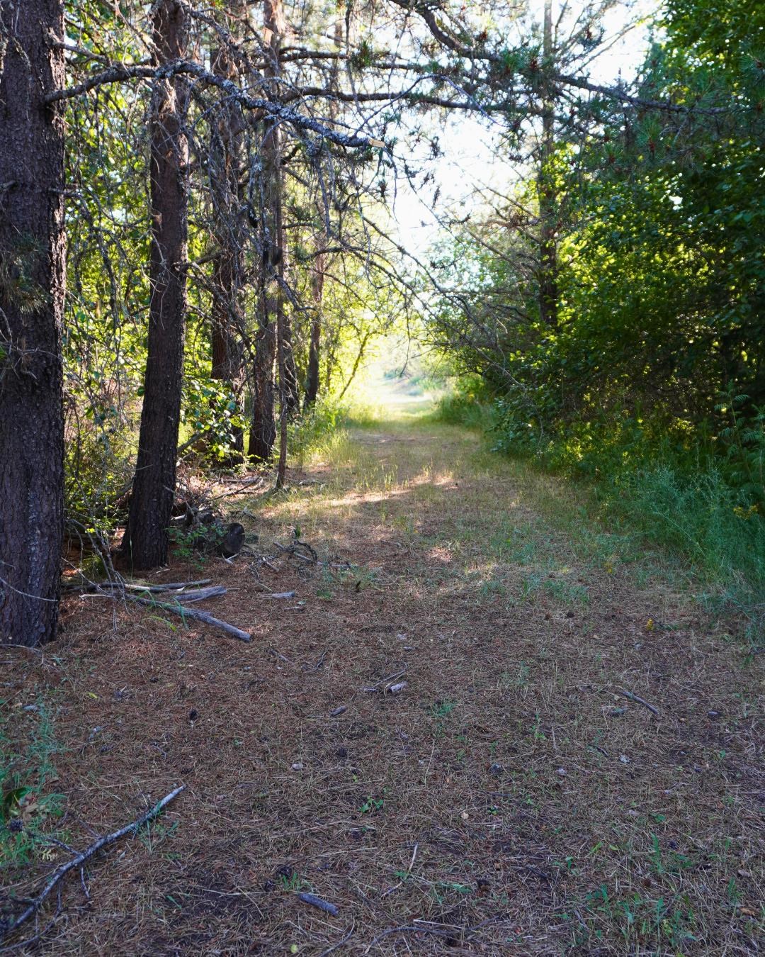 NKA Pines Rd - Photo 8