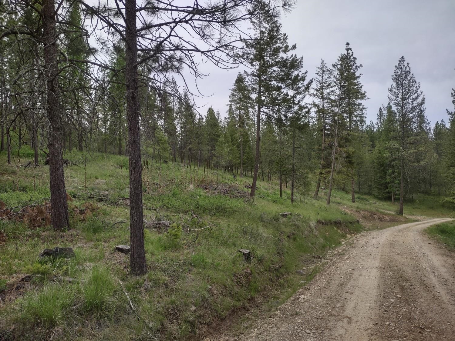 XXX E Jump Off Rd - Photo 3